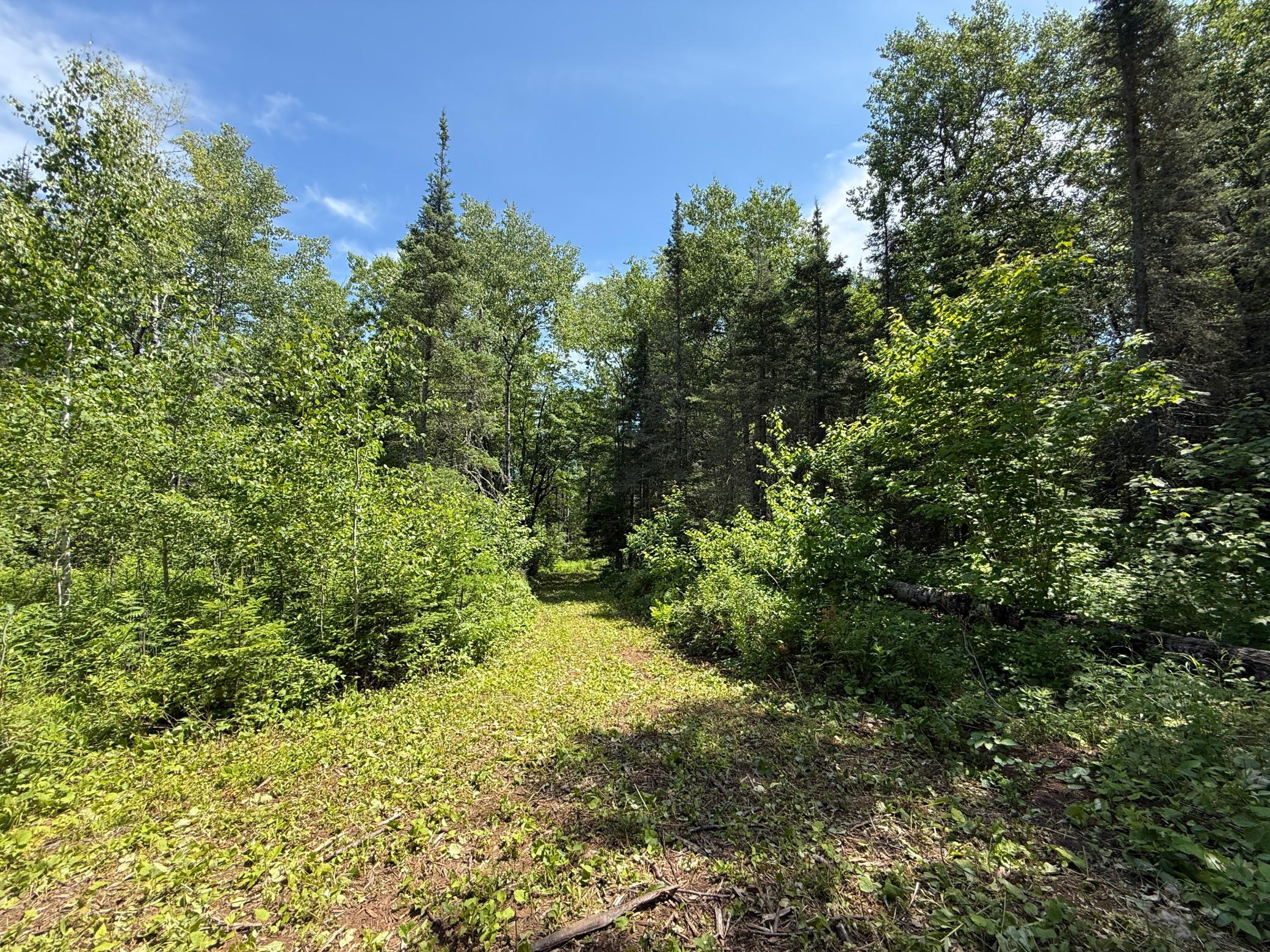 Tbd Arnold Rd. Property Photo 22