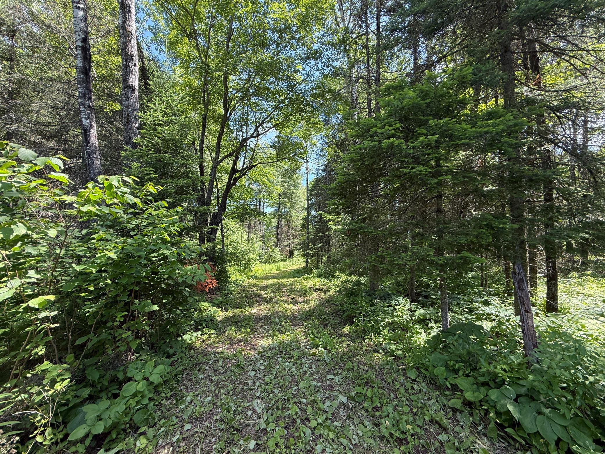 Tbd Arnold Rd. Property Photo 24