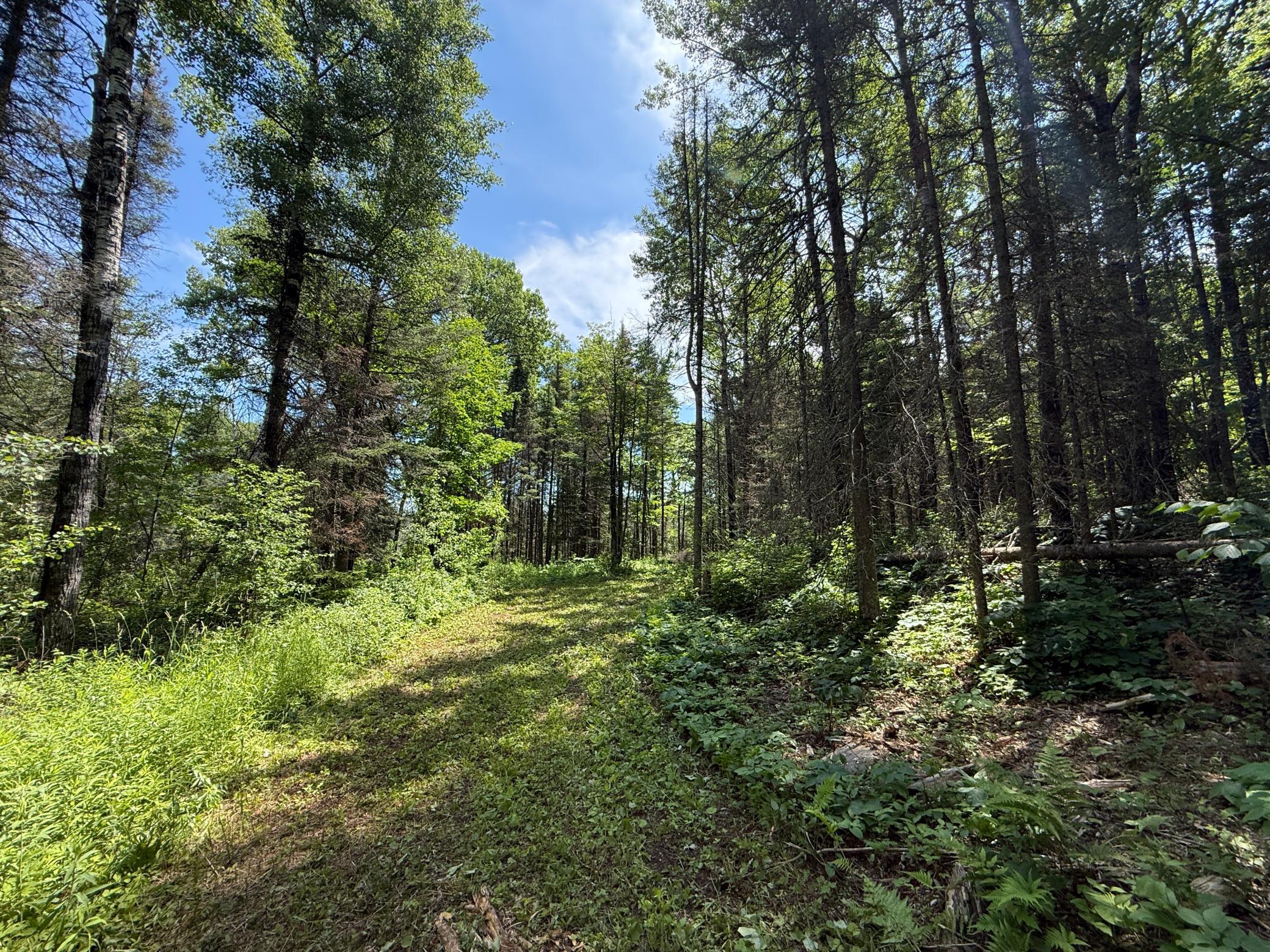 Tbd Arnold Rd. Property Photo 26