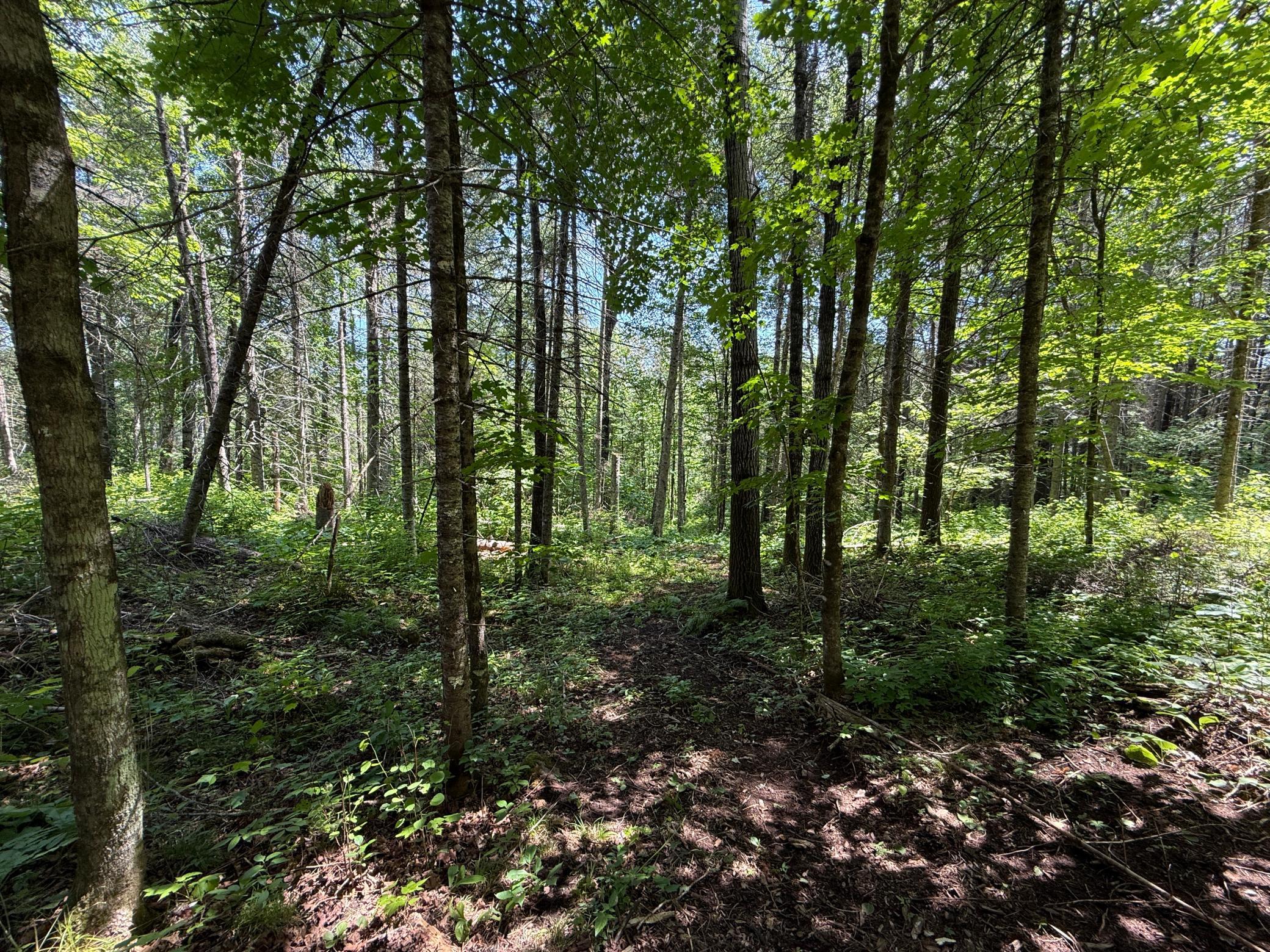 Tbd Arnold Rd. Property Photo 27