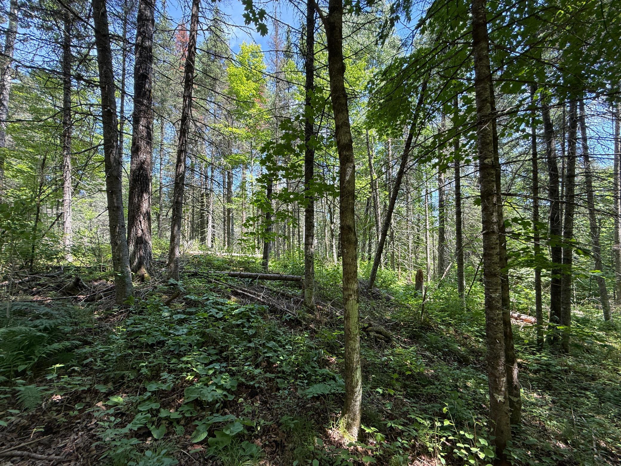 Tbd Arnold Rd. Property Photo 28