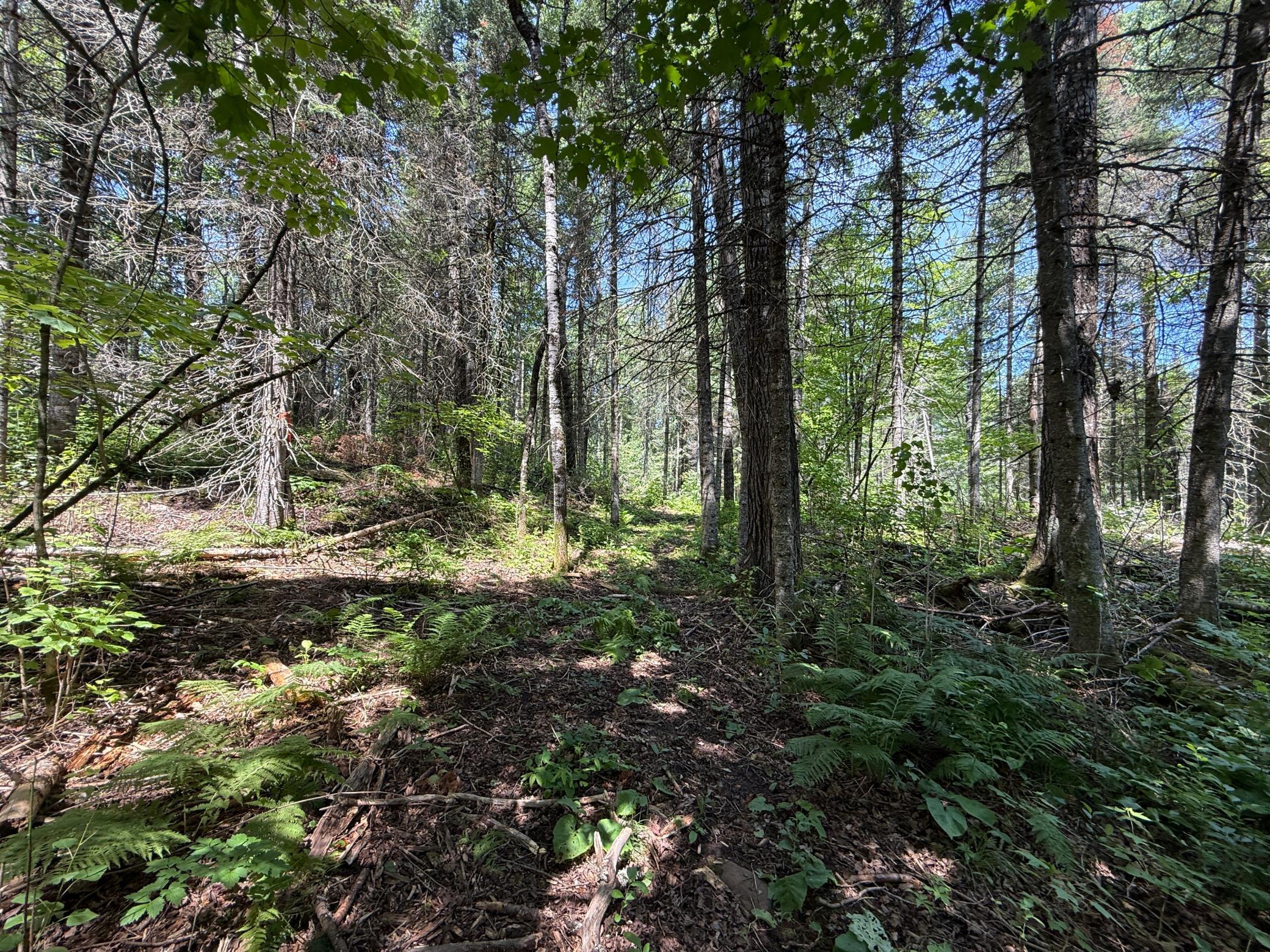 Tbd Arnold Rd. Property Photo 29