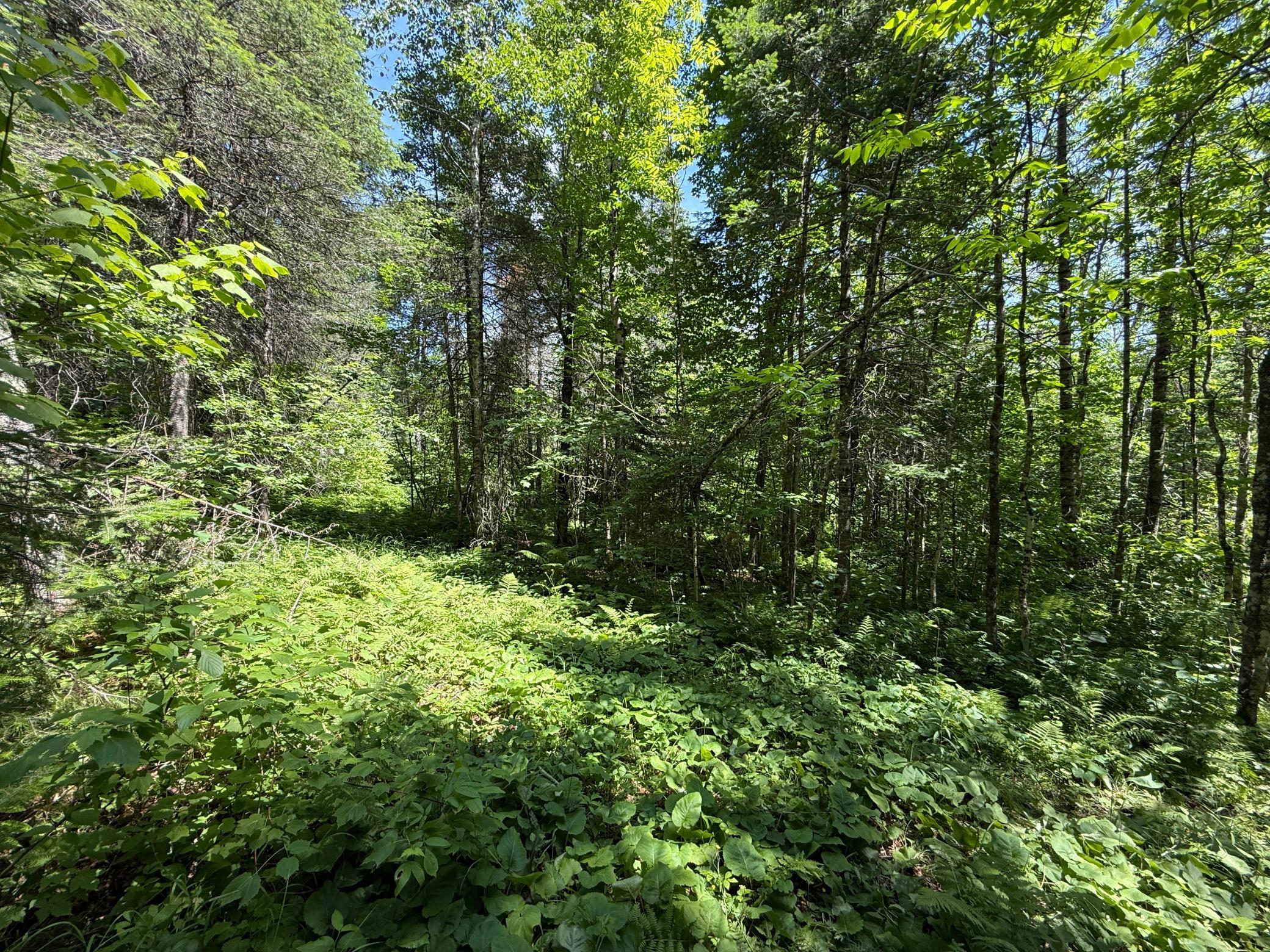 Tbd Arnold Rd. Property Photo 30