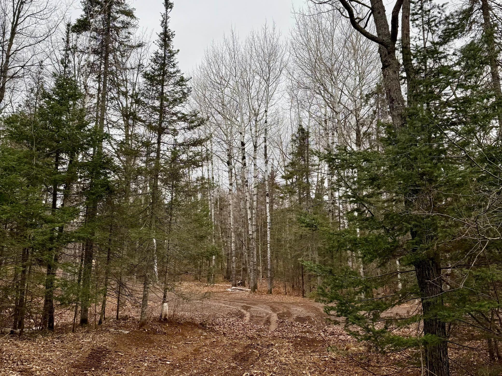 Tbd Arnold Rd. Property Photo 39