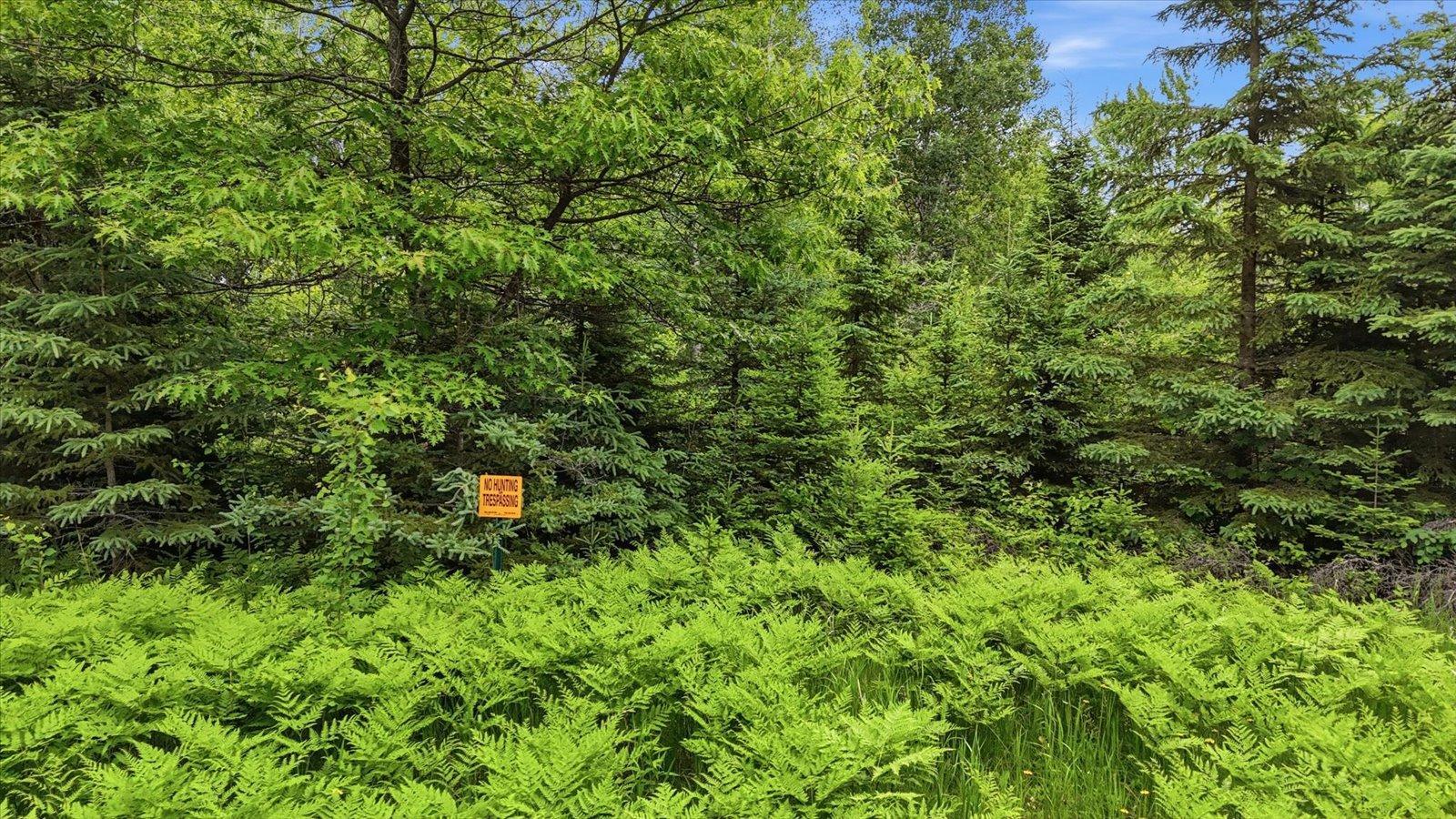 Tbd Tbd Property Photo 10