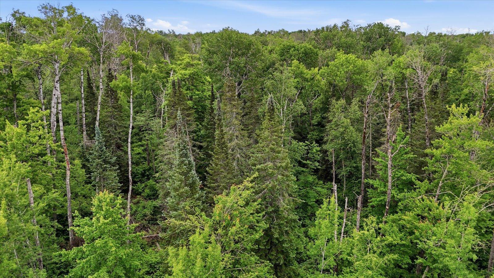 Tbd Tbd Property Photo 15