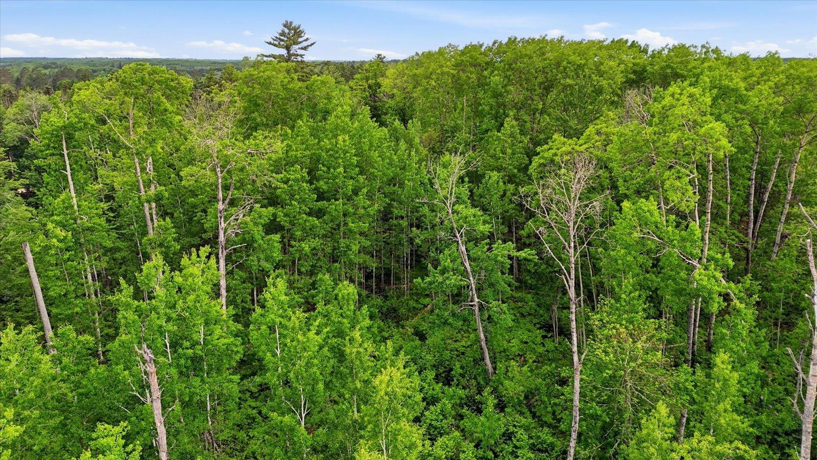 Tbd Tbd Property Photo 16