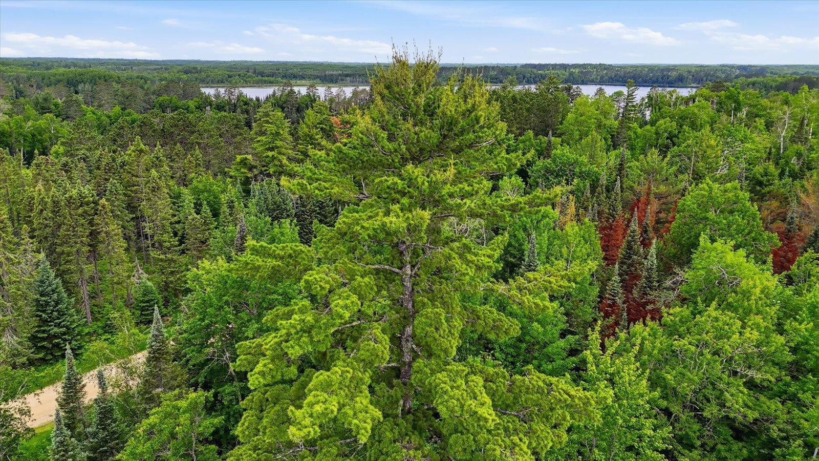 Tbd Tbd Property Photo 17