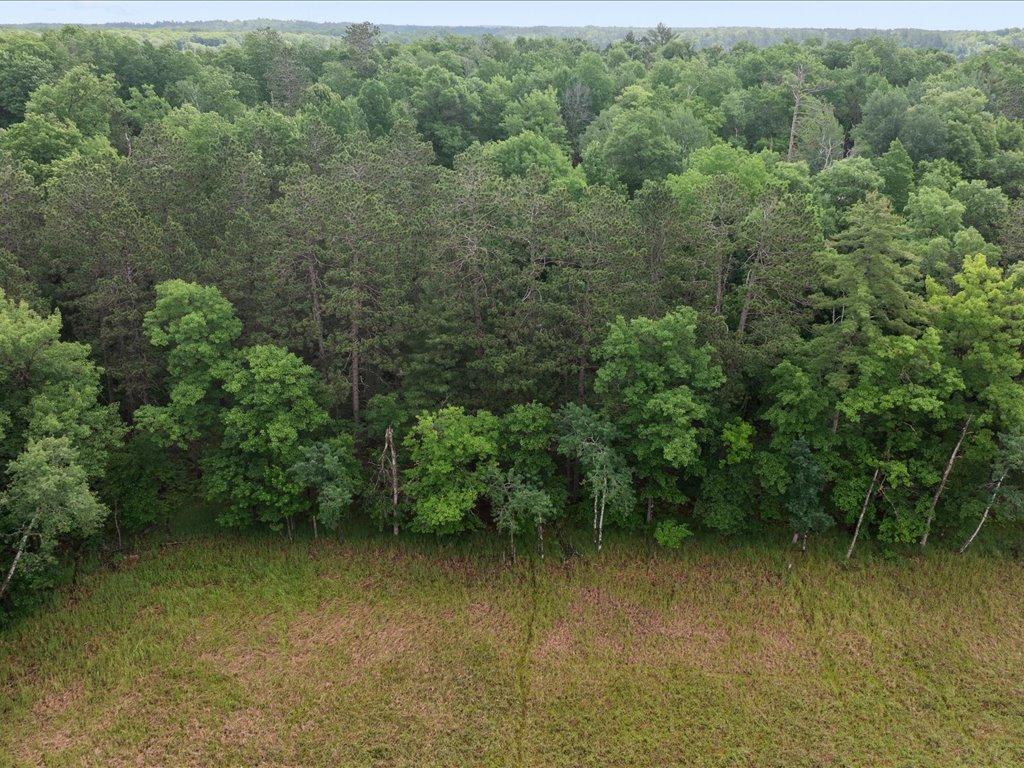 8343 Timber Lane Property Photo 44