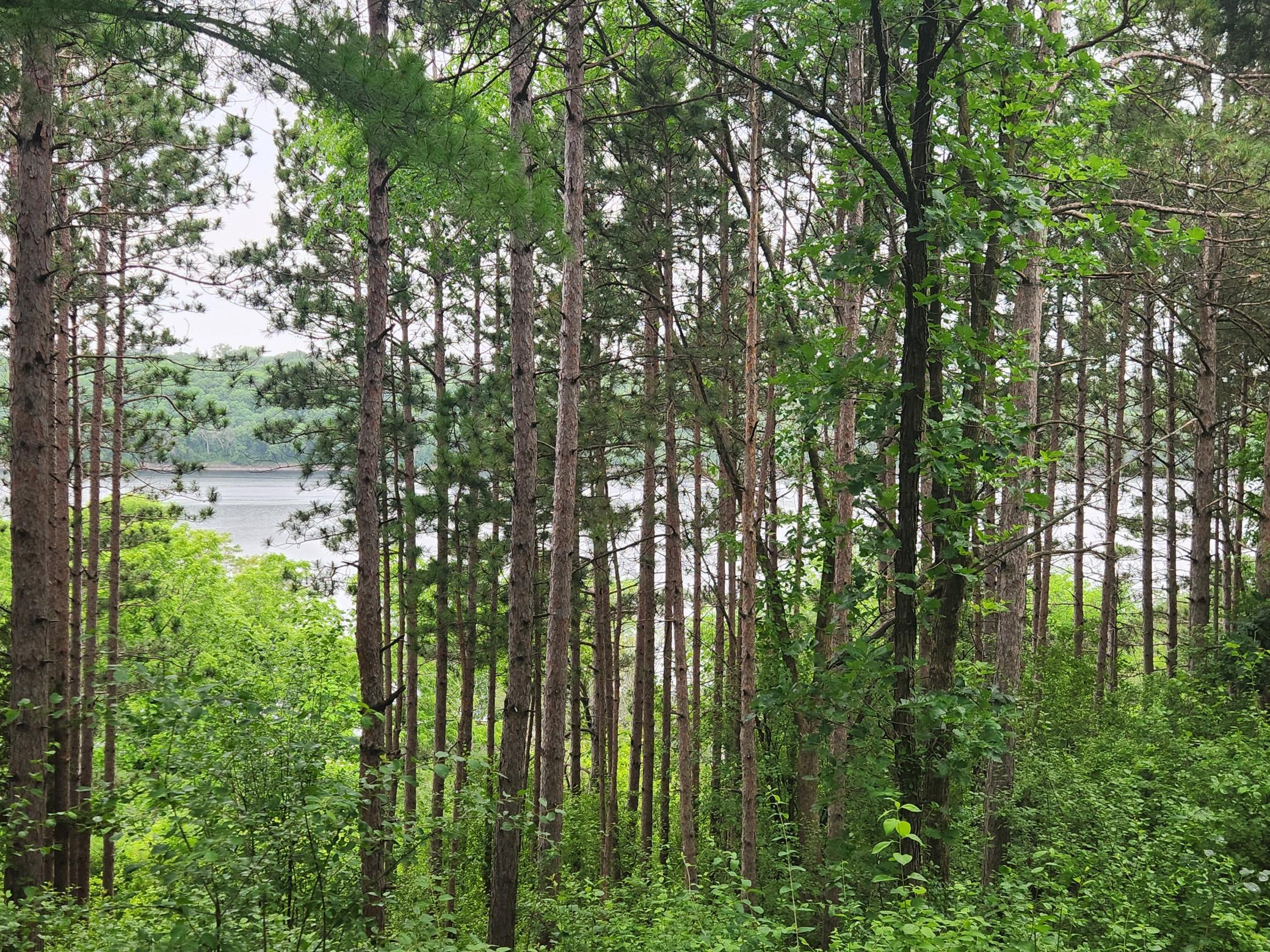 Xxx Pearl Street Property Photo 11