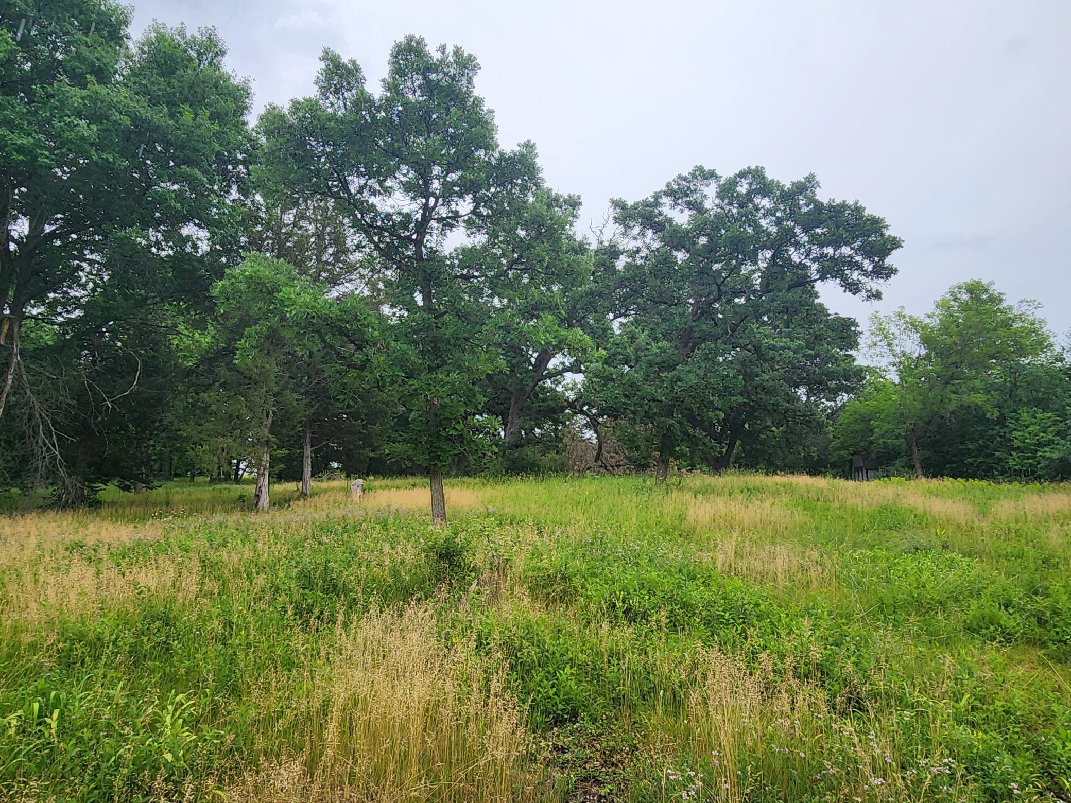 Xxx Pearl Street Property Photo 12