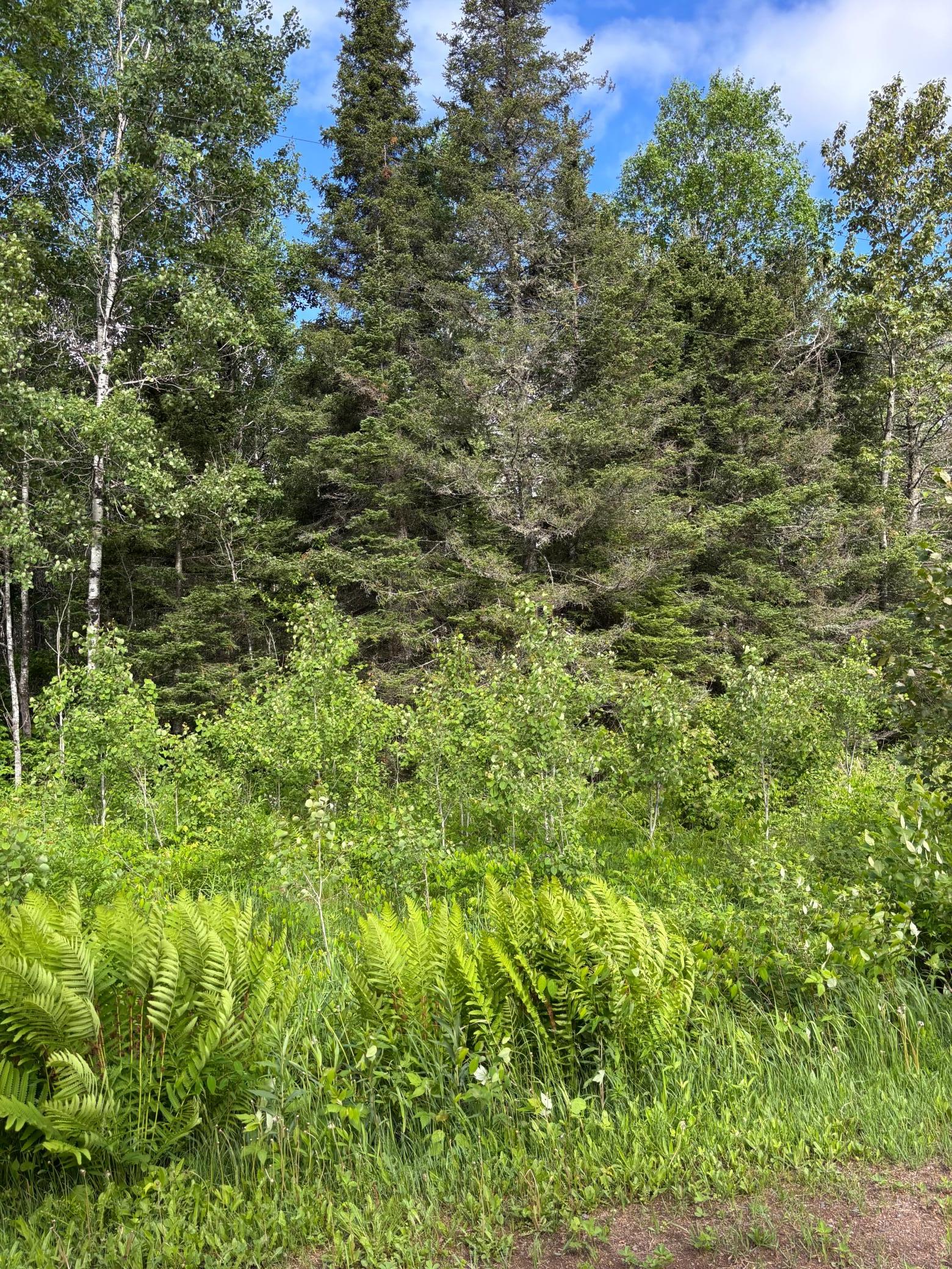 Xxx Town Line Road Property Photo 3