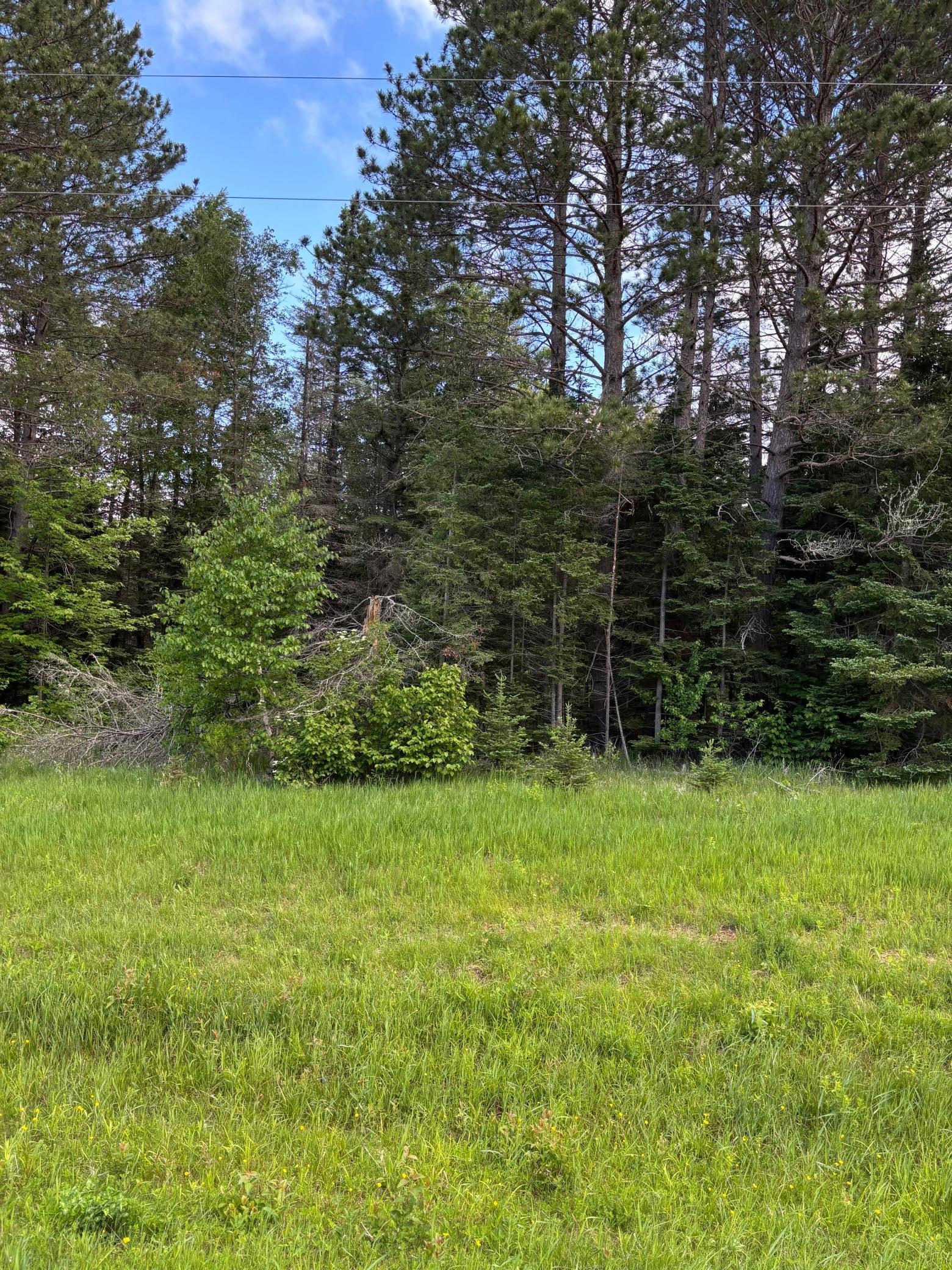 Xxx Town Line Road Property Photo 6