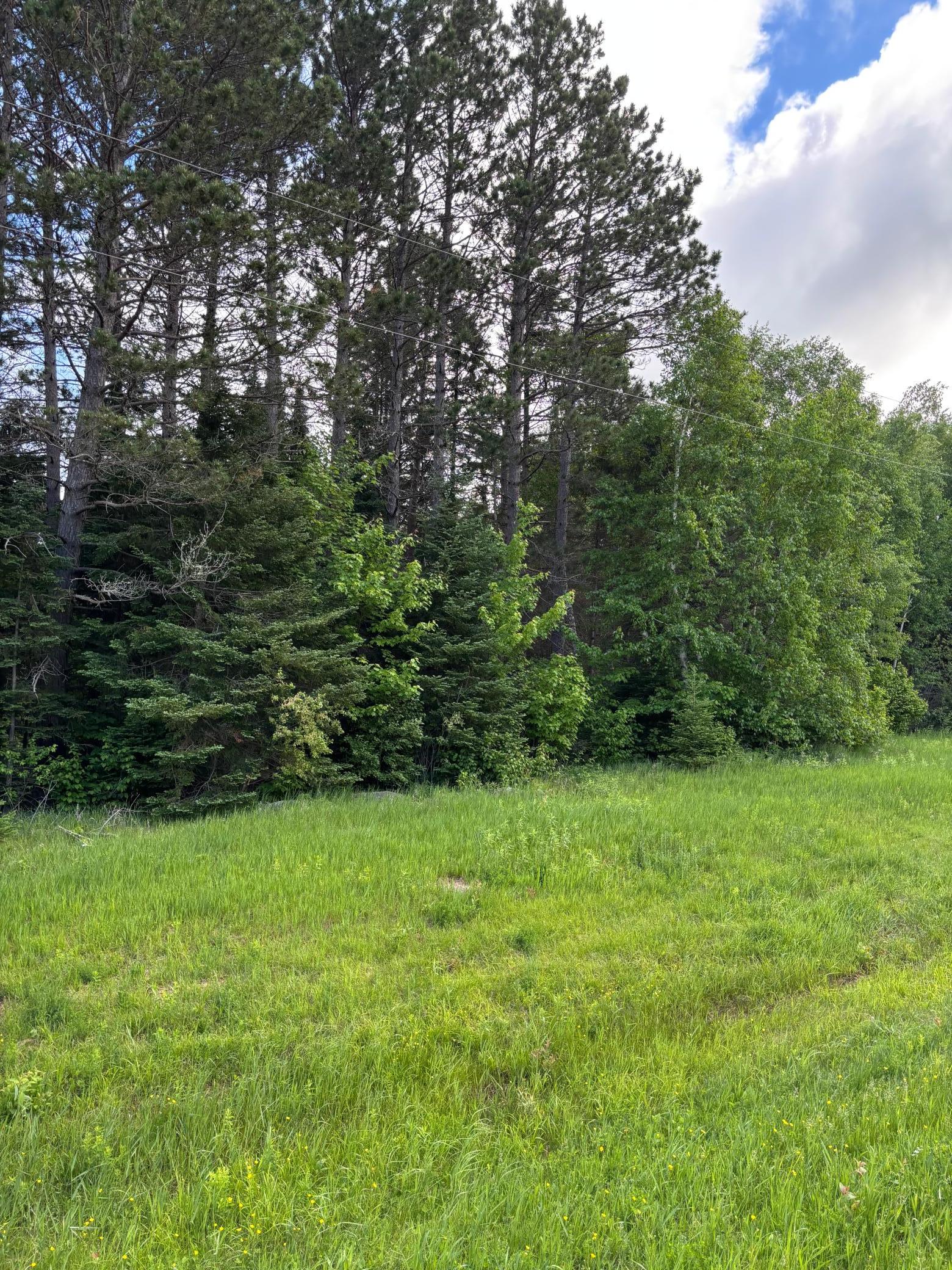 Xxx Town Line Road Property Photo 7