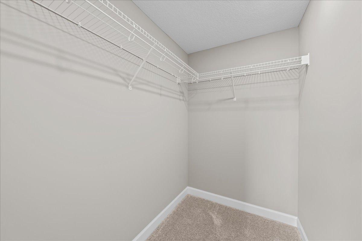 819 Spancil Hill View Property Photo 62