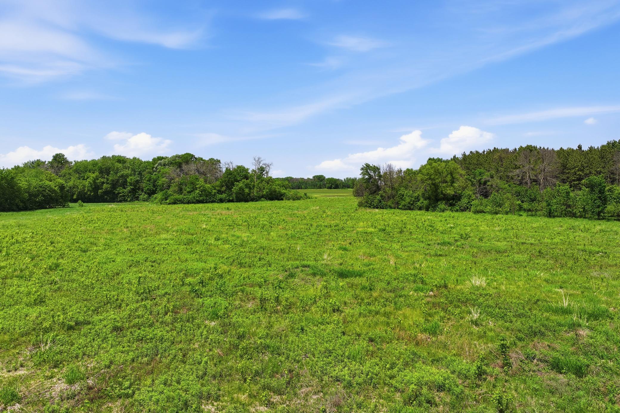 880 Wild Oak Trail Property Photo 83