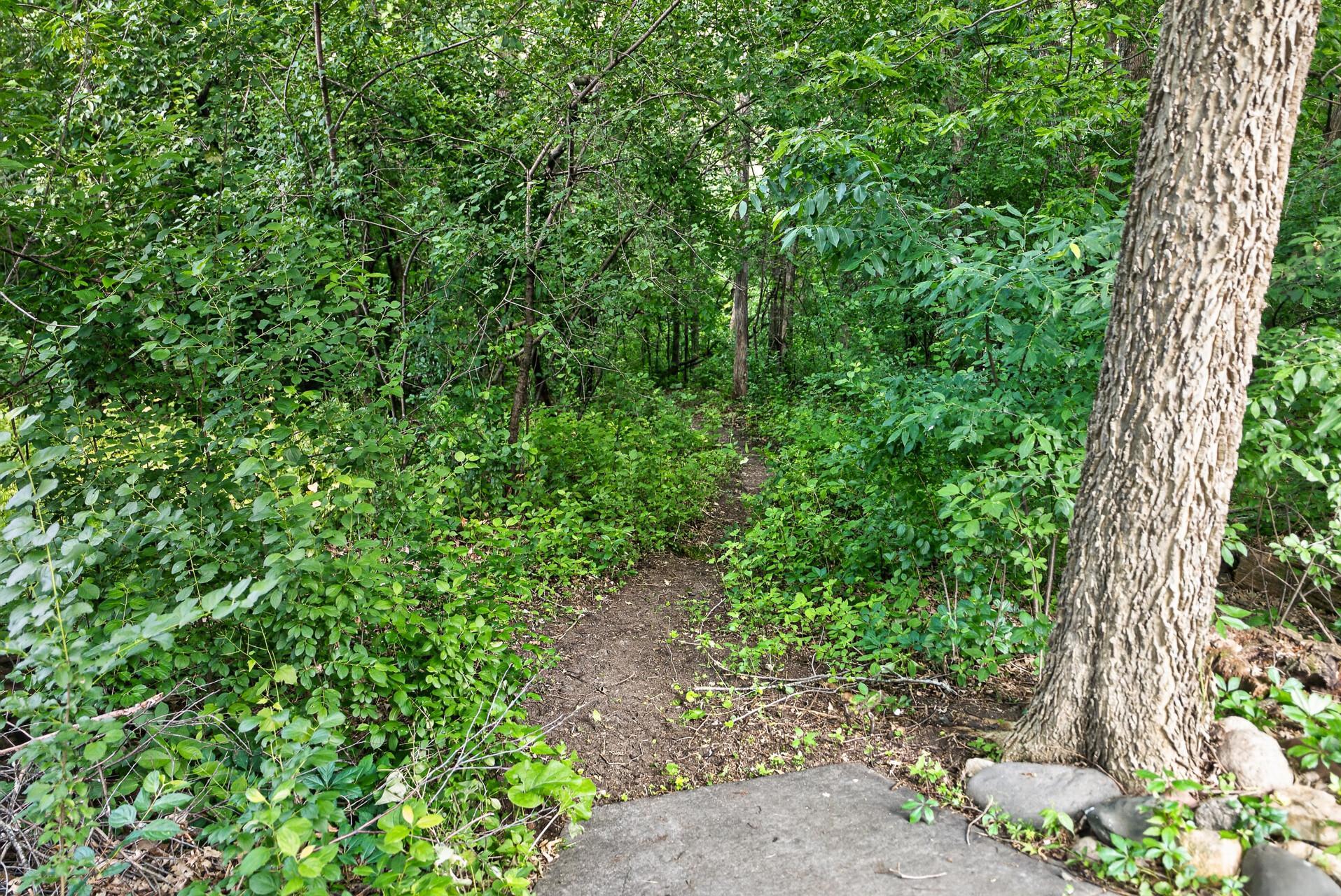 815 Promontory Place Property Photo 41