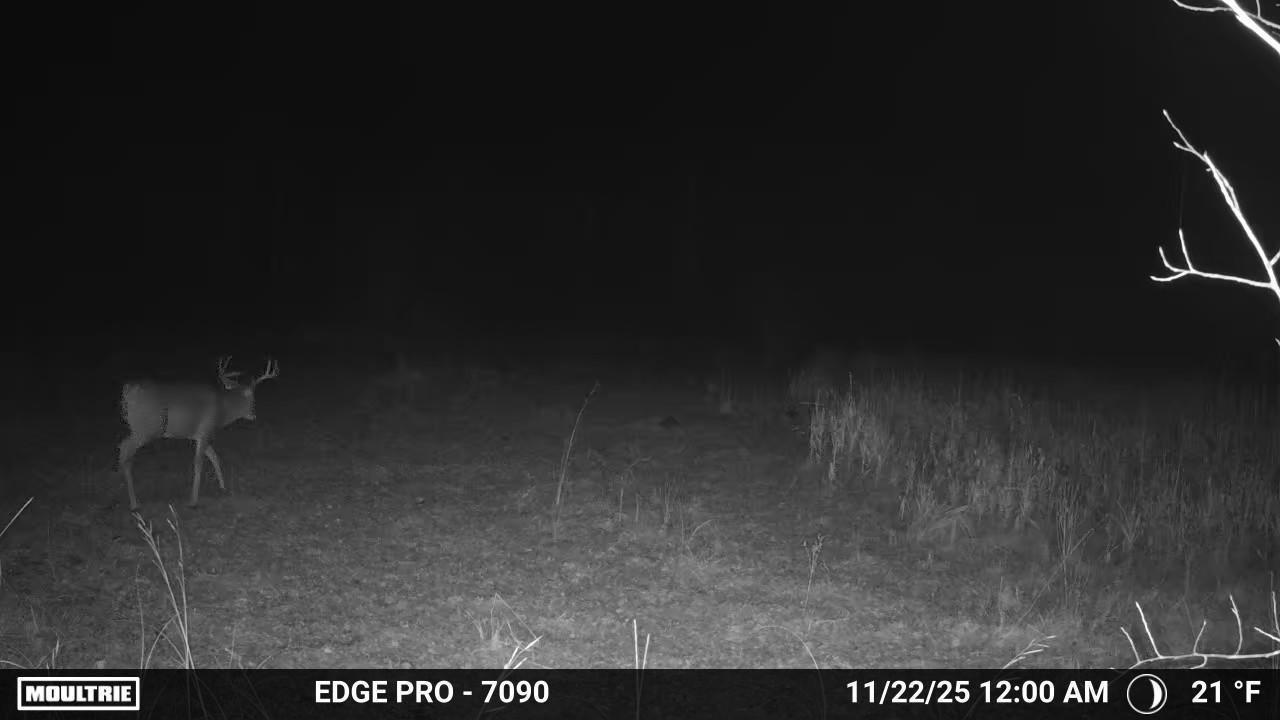 Tbd 350th Ave Sw Property Photo 17