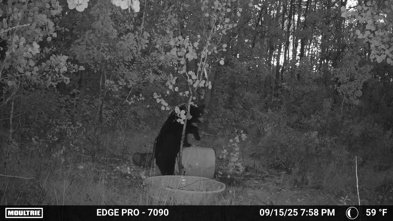 Tbd 350th Ave Sw Property Photo 20