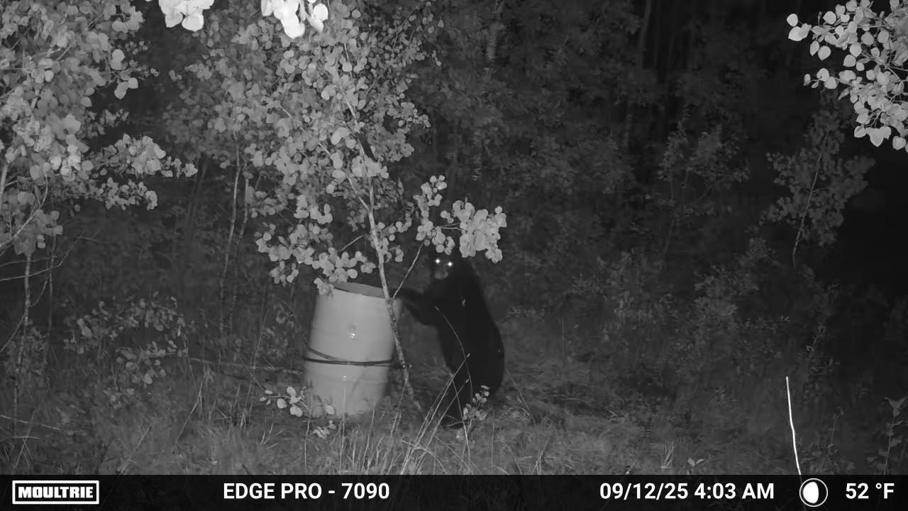 Tbd 350th Ave Sw Property Photo 21