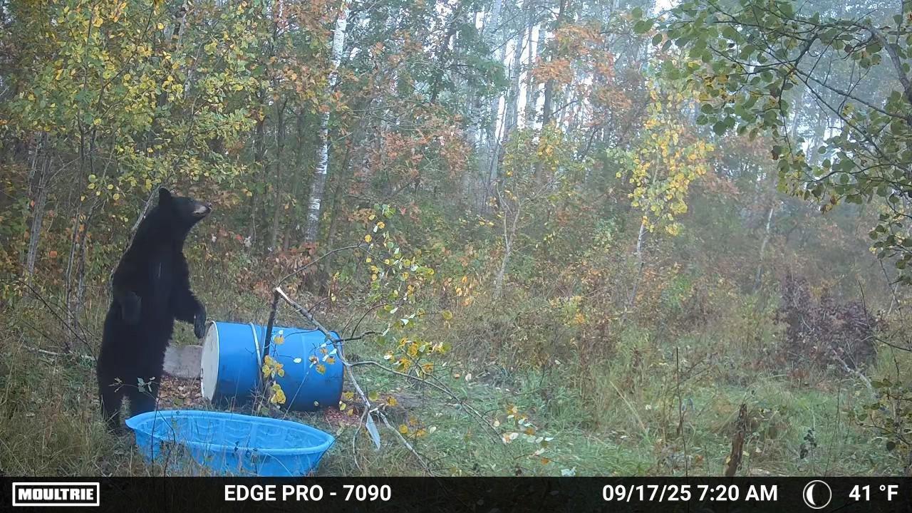 Tbd 350th Ave Sw Property Photo 23