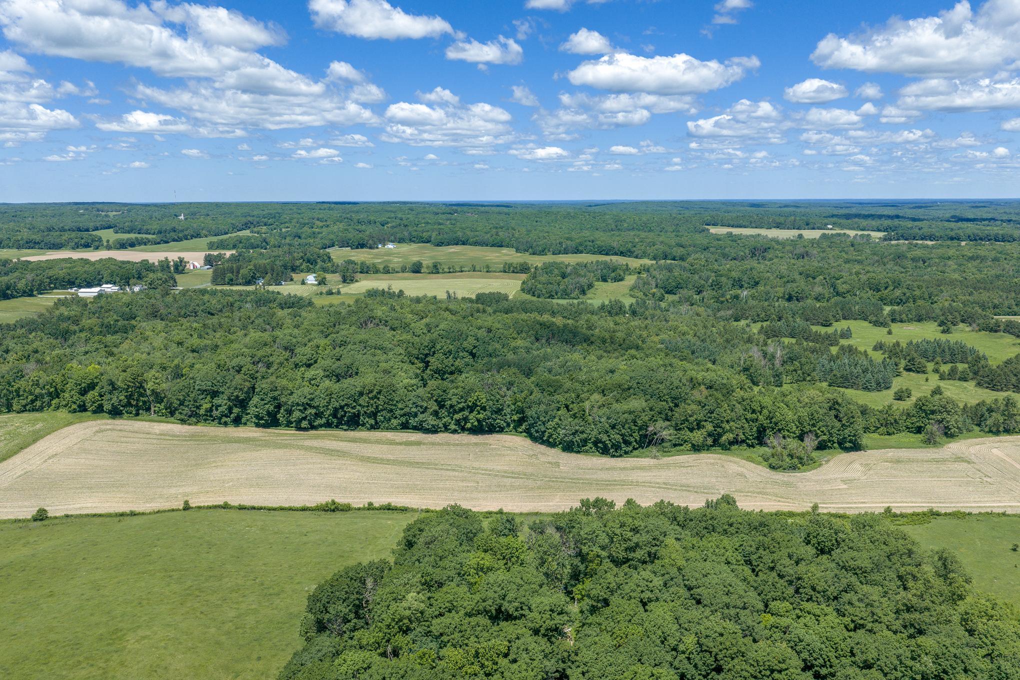 899 State Hwy 48 Property Photo 41