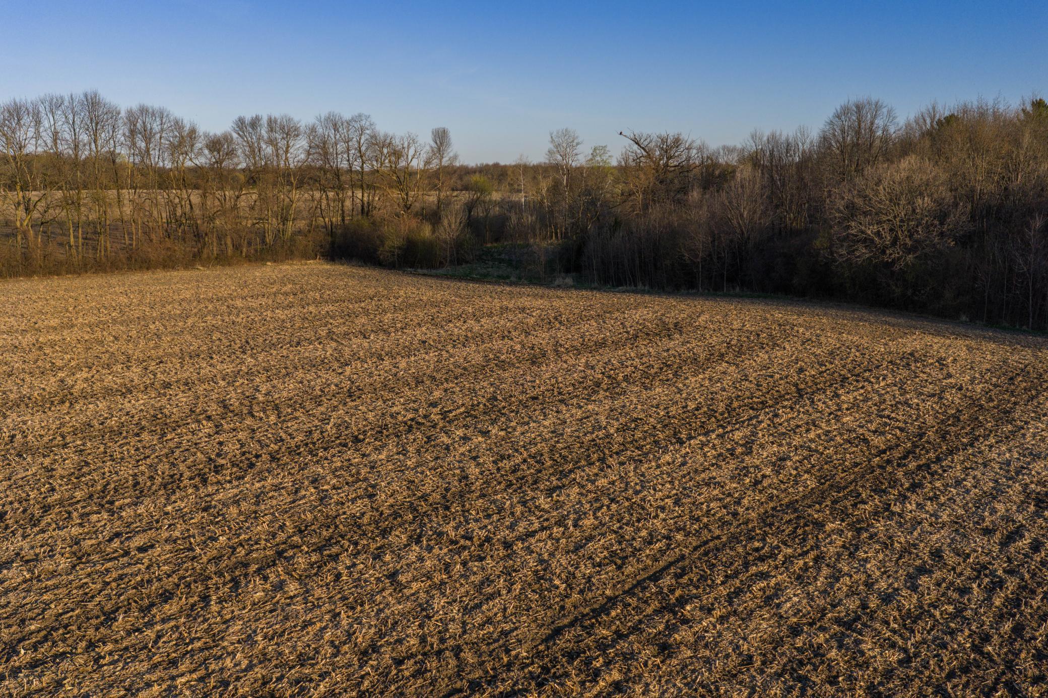 Tbd Lot 1 Park Trail Property Photo 5
