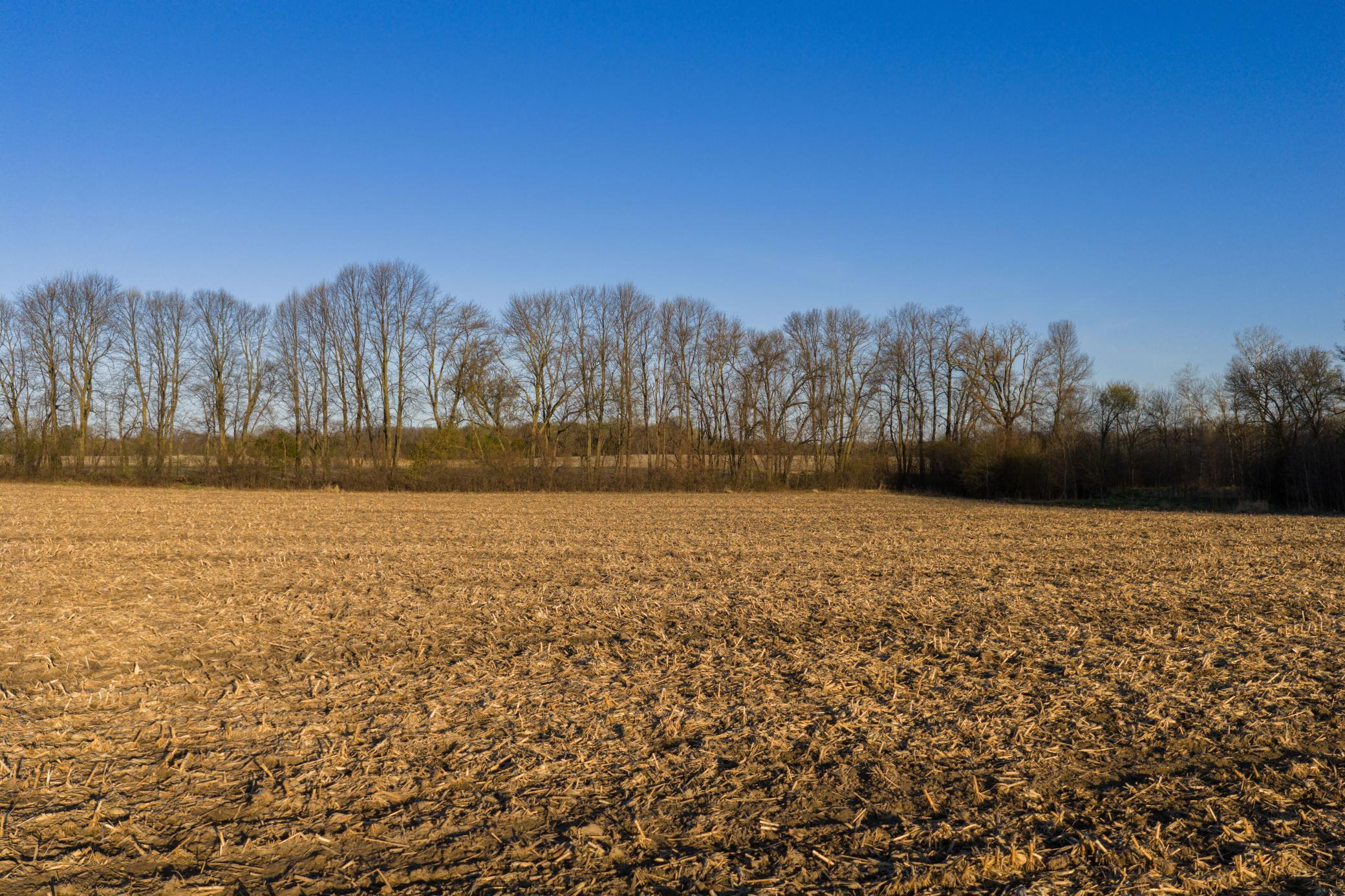 Tbd Lot 1 Park Trail Property Photo 6