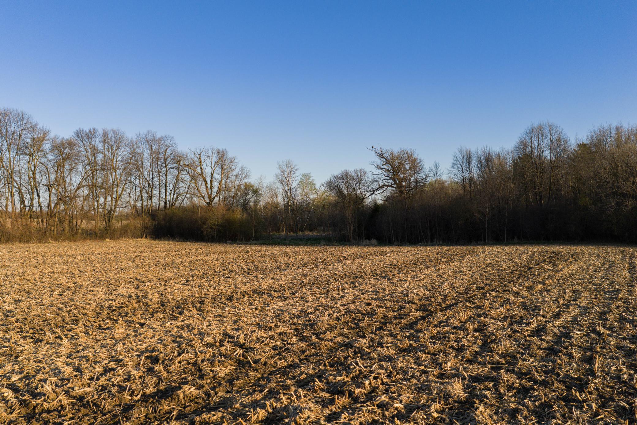 Tbd Lot 1 Park Trail Property Photo 7