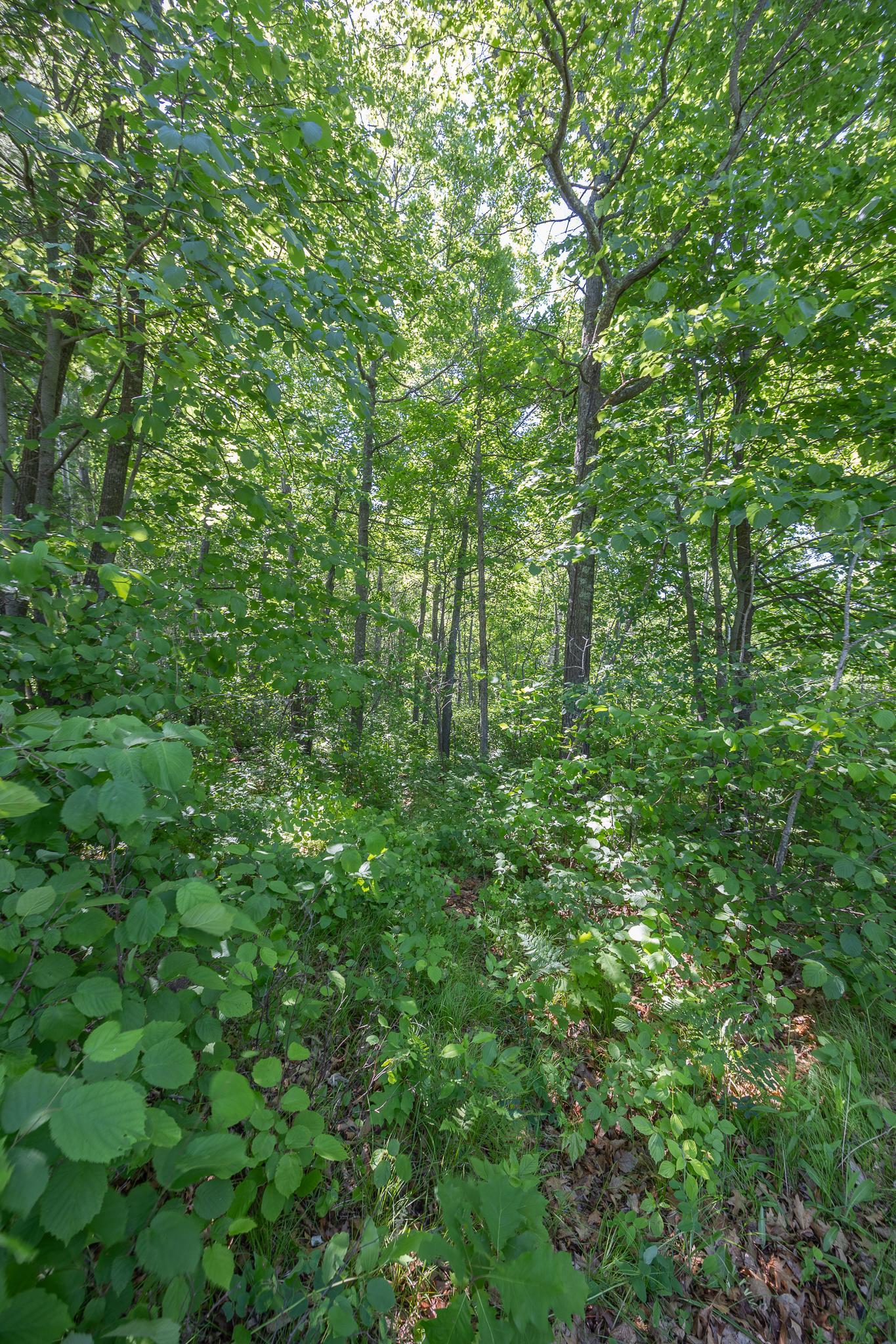 Tbd. Kestrel Trail Nw Property Photo 7
