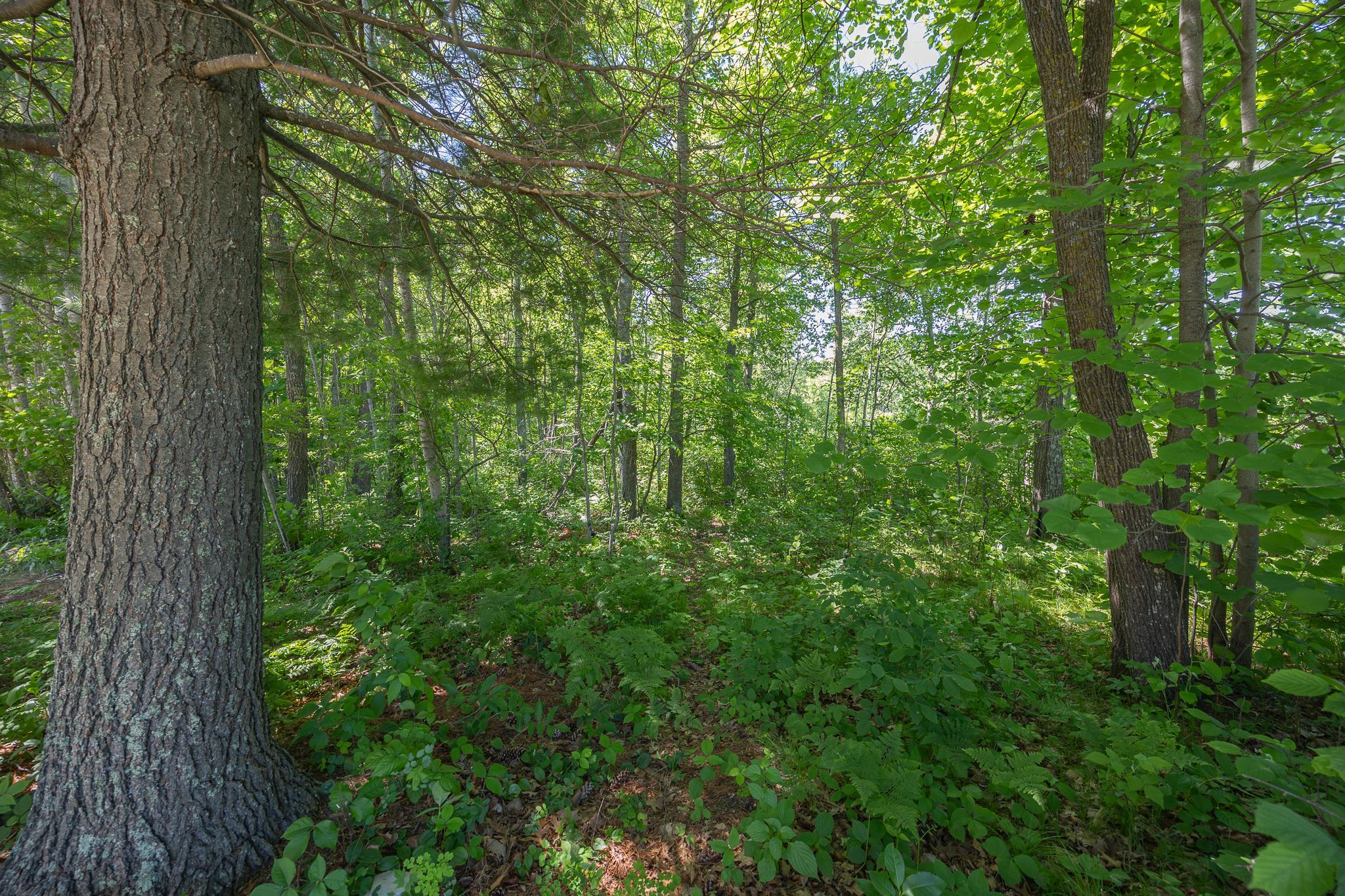 Tbd. Kestrel Trail Nw Property Photo 8