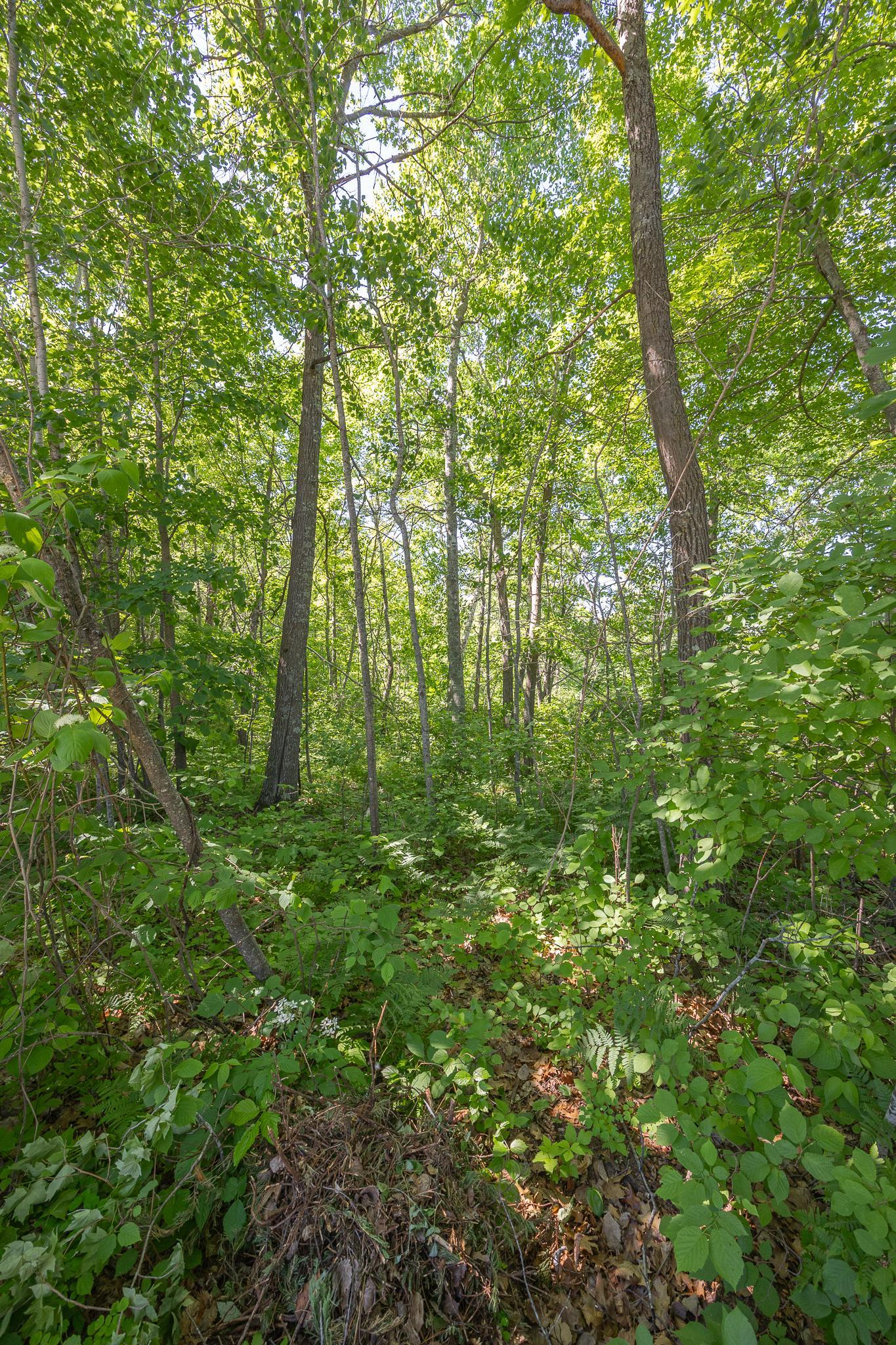 Tbd. Kestrel Trail Nw Property Photo 10