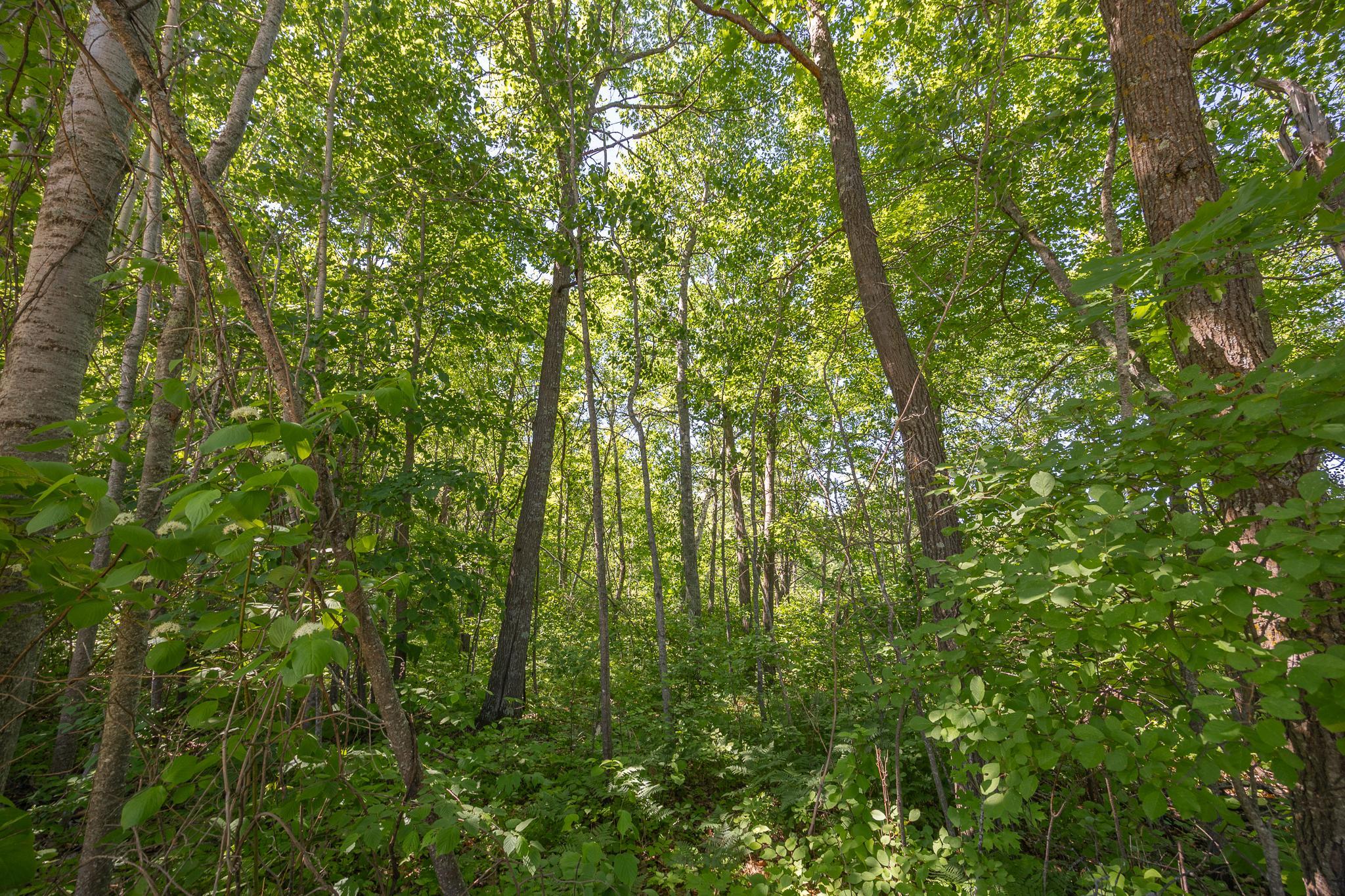 Tbd. Kestrel Trail Nw Property Photo 11