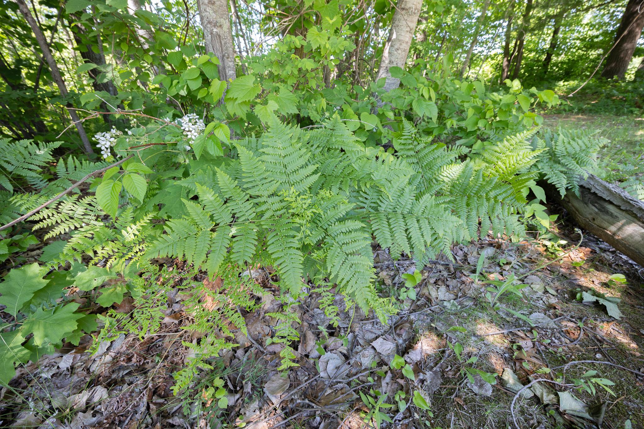 Tbd. Kestrel Trail Nw Property Photo 12