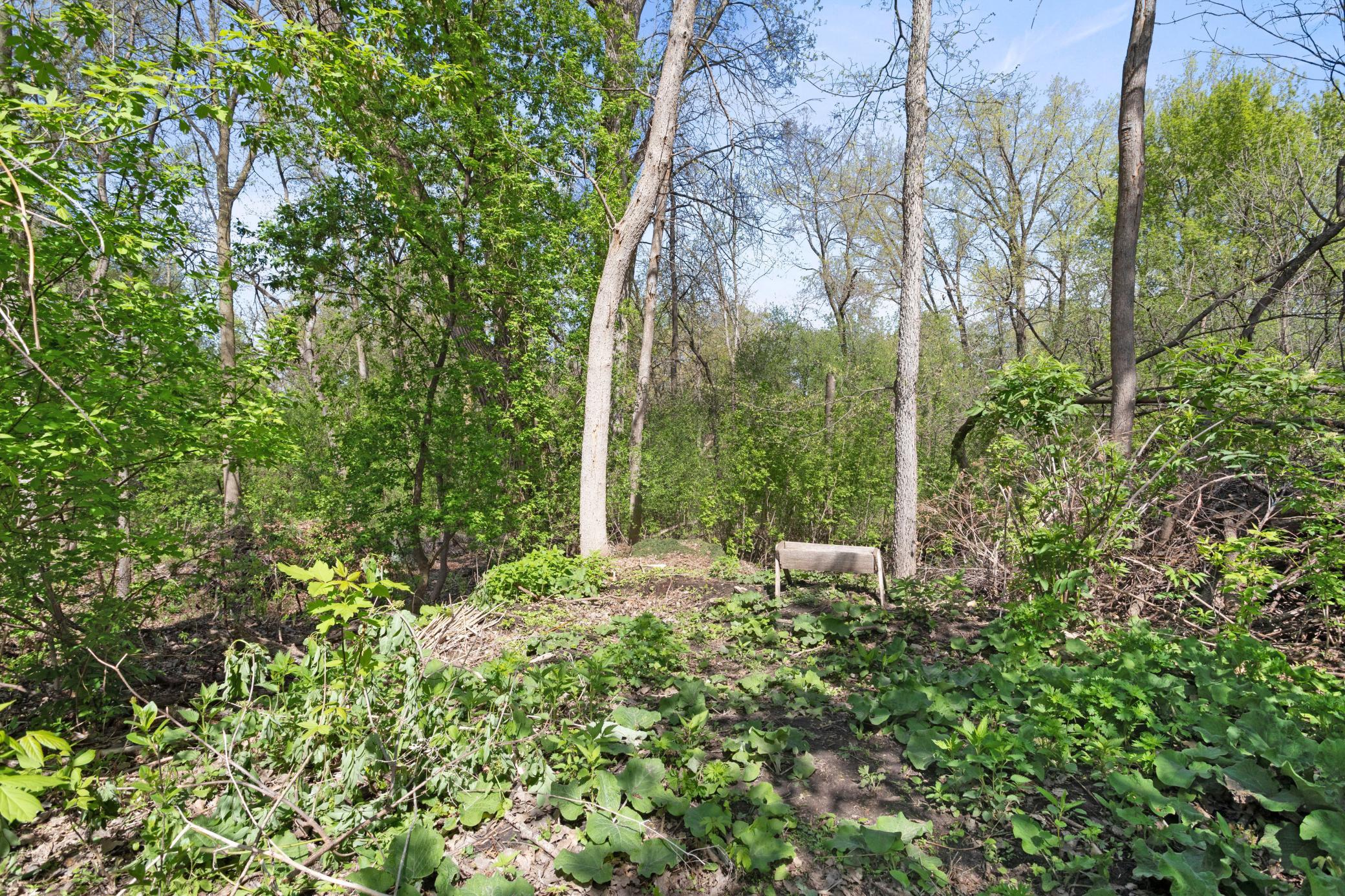 1559 Mccarthy Road Property Photo 26
