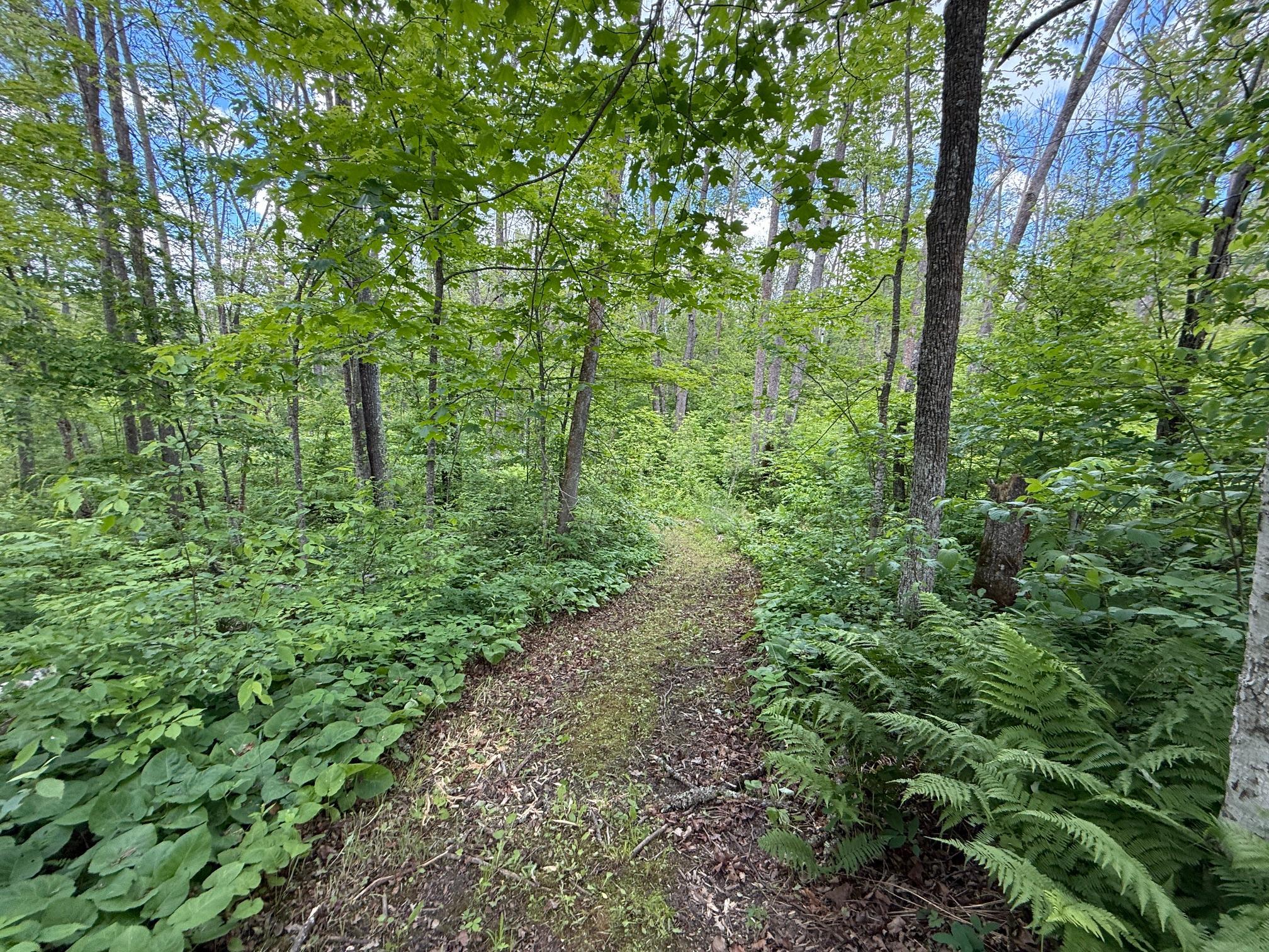 23430 567th Lane Property Photo 47