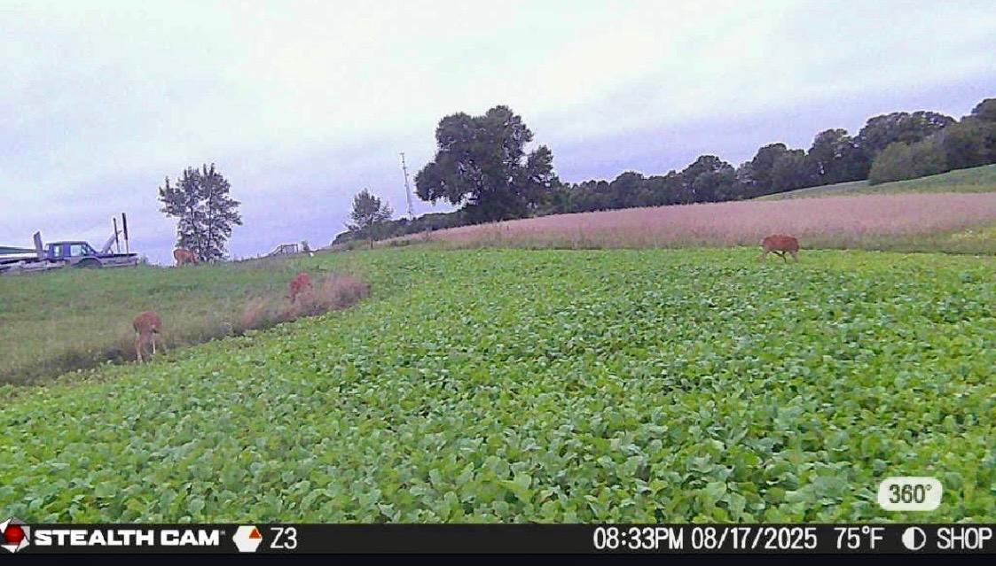 13272 County 11 Property Photo 4