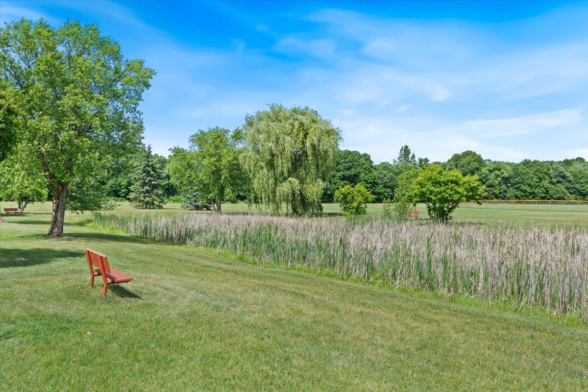 11152 Balsam Pointe Trail Property Photo 44