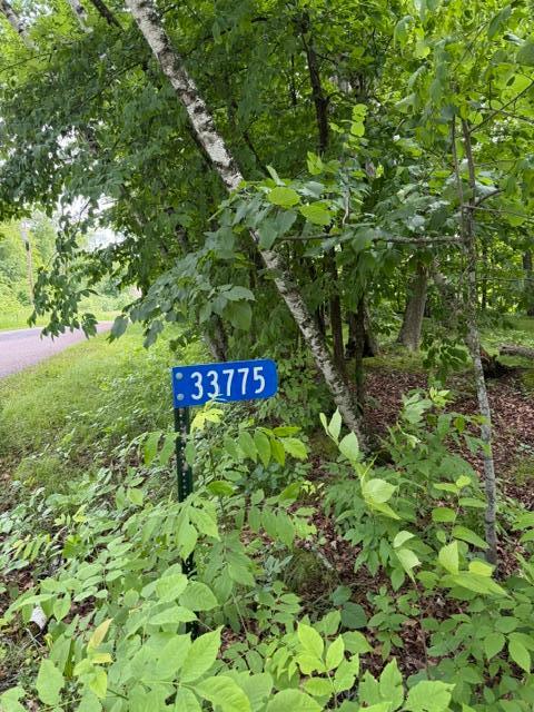 33775 Mcneil Road Property Photo 15