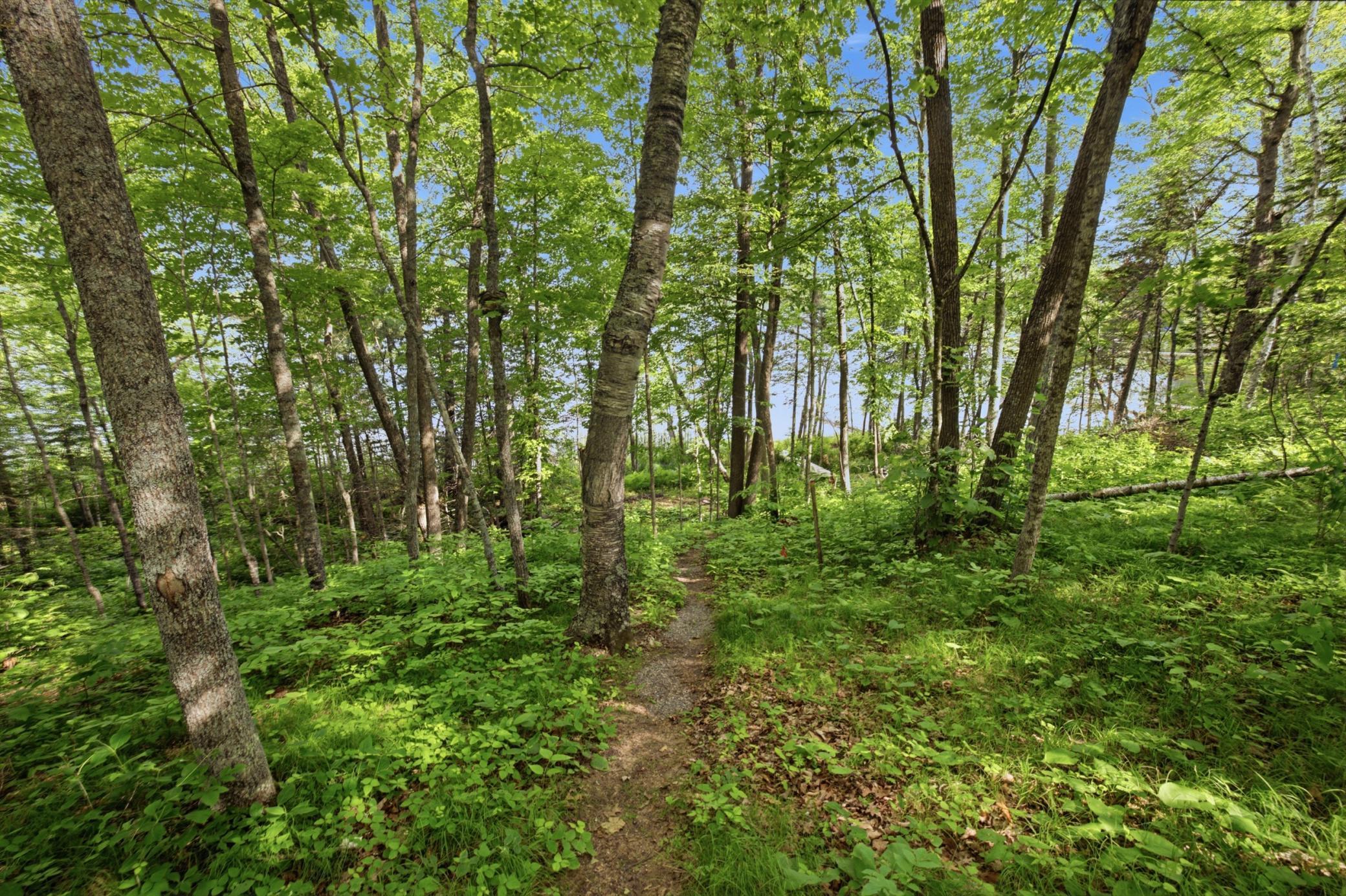 33775 Mcneil Road Property Photo 16