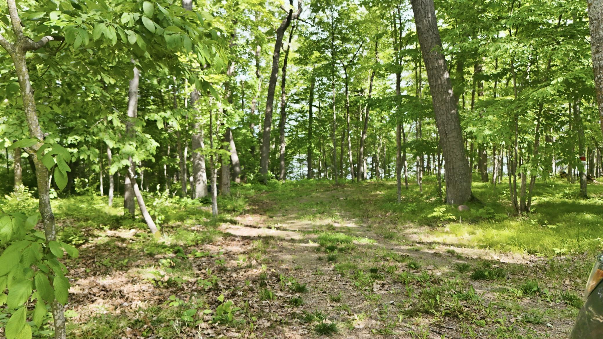 33775 Mcneil Road Property Photo 20