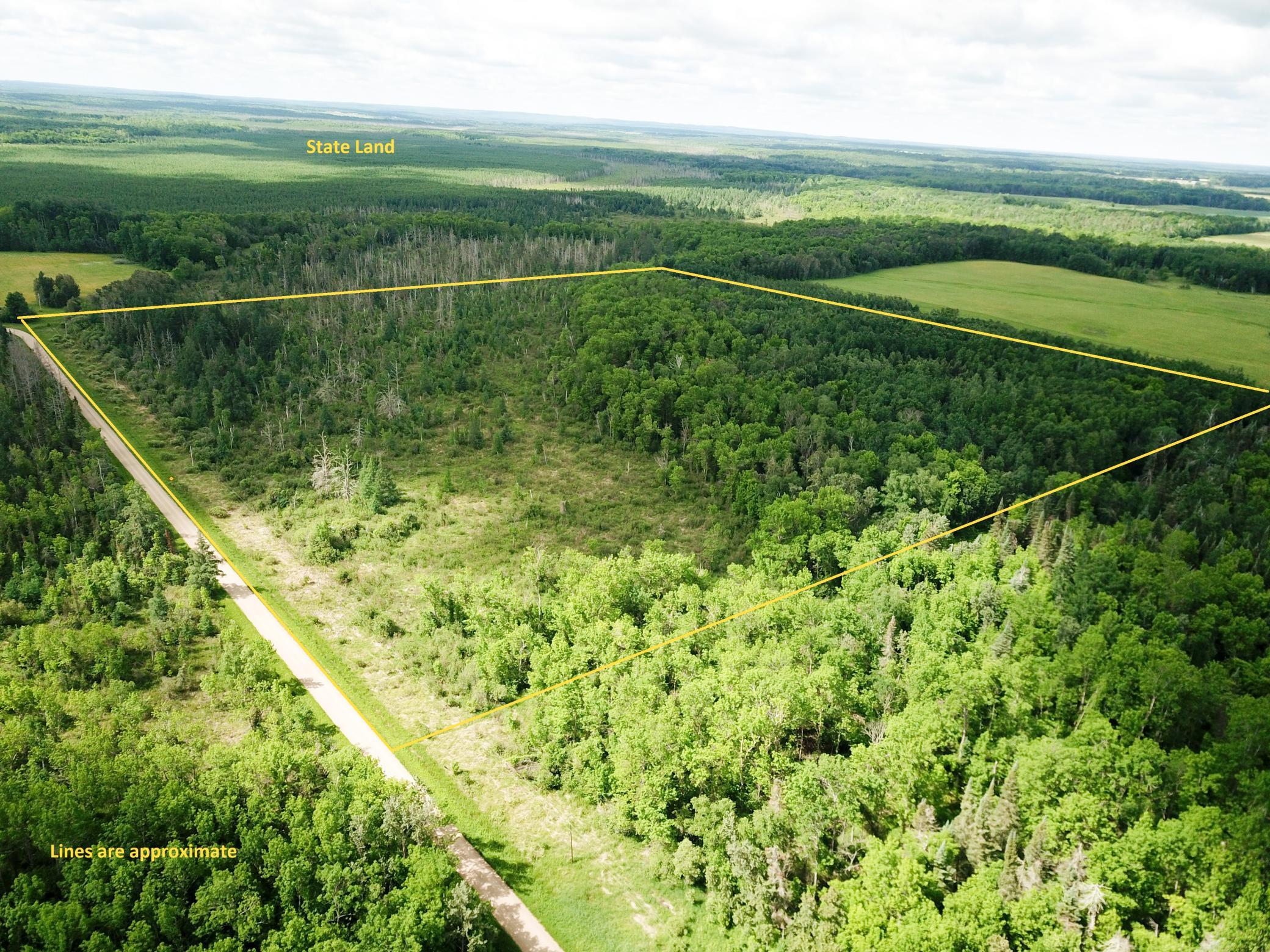 Tbd1 Mud Lake Road Property Photo 3