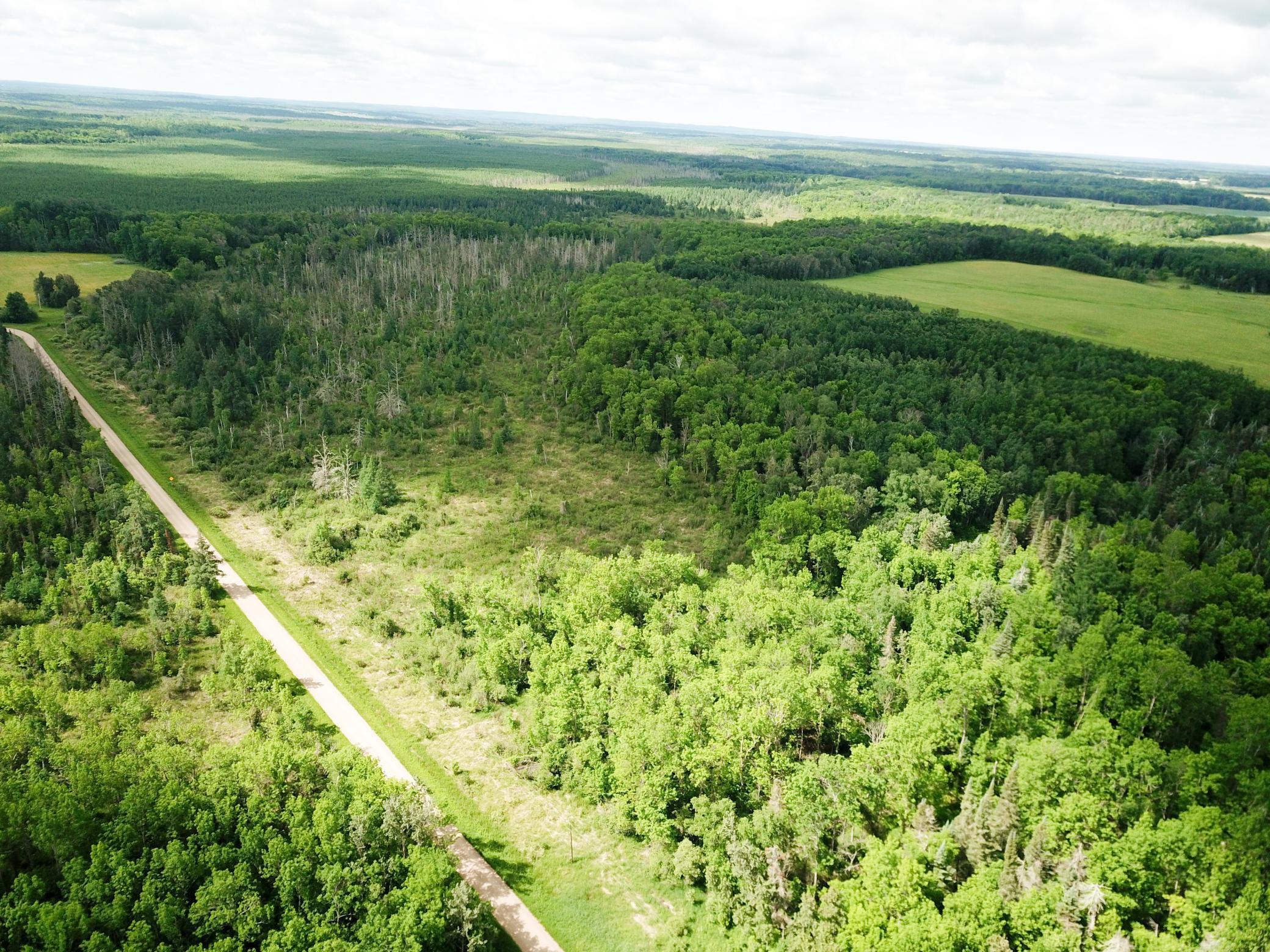 Tbd1 Mud Lake Road Property Photo 4