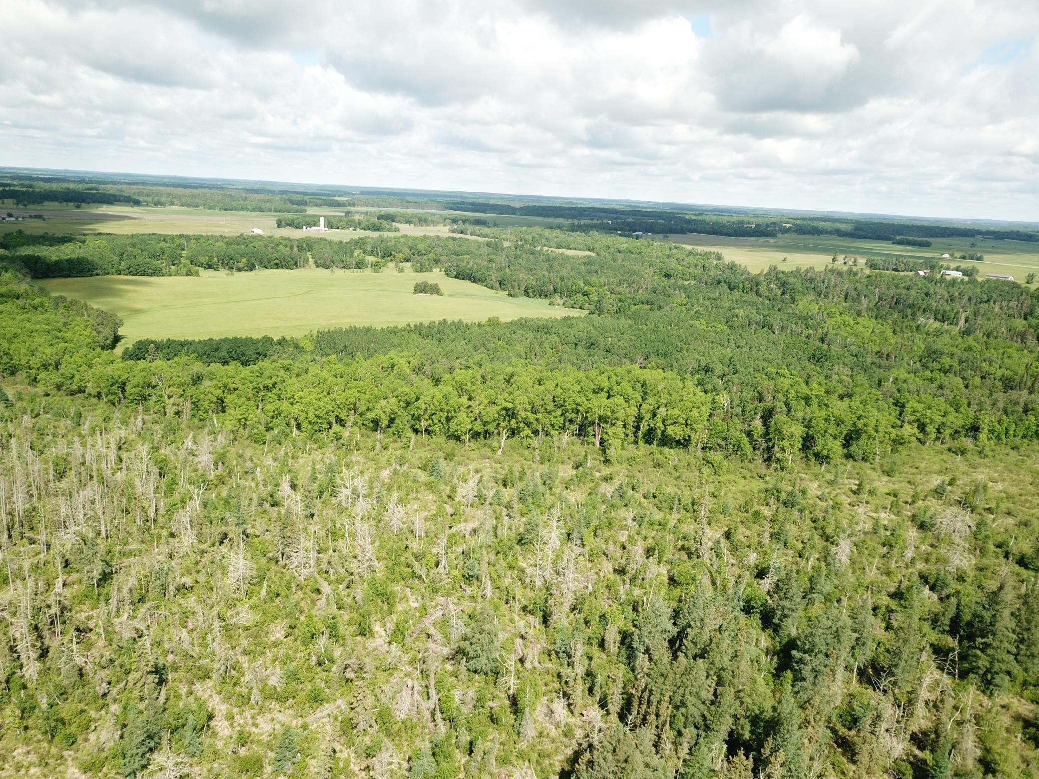 Tbd1 Mud Lake Road Property Photo 5