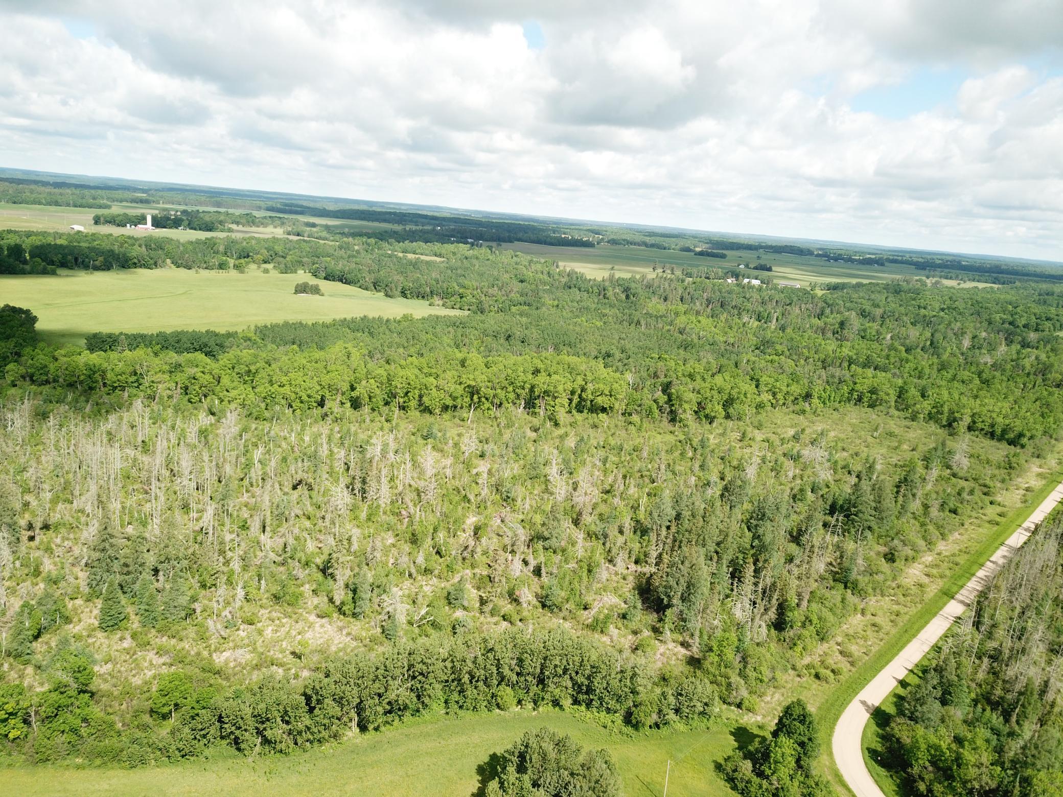 Tbd1 Mud Lake Road Property Photo 6