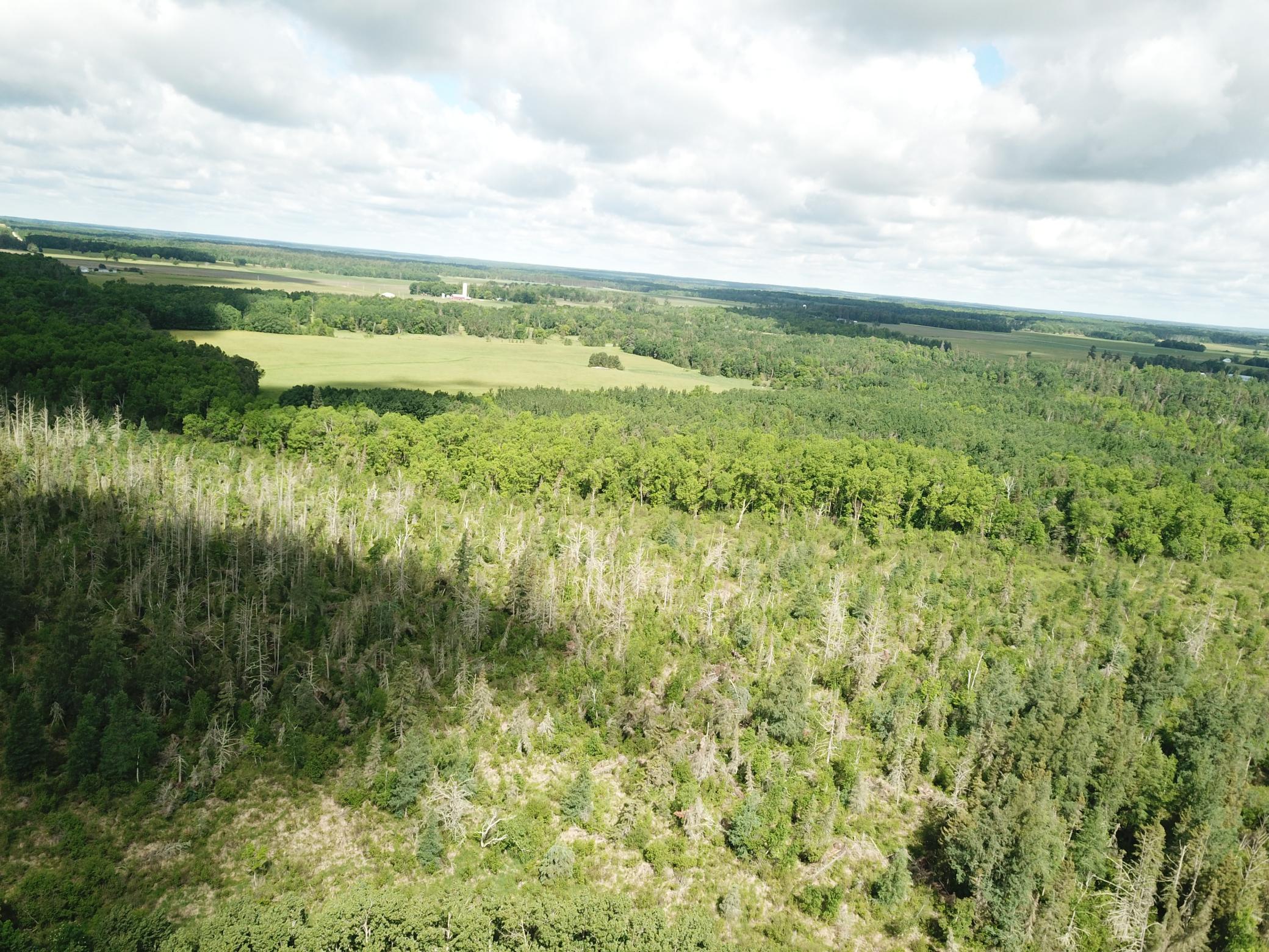 Tbd1 Mud Lake Road Property Photo 7