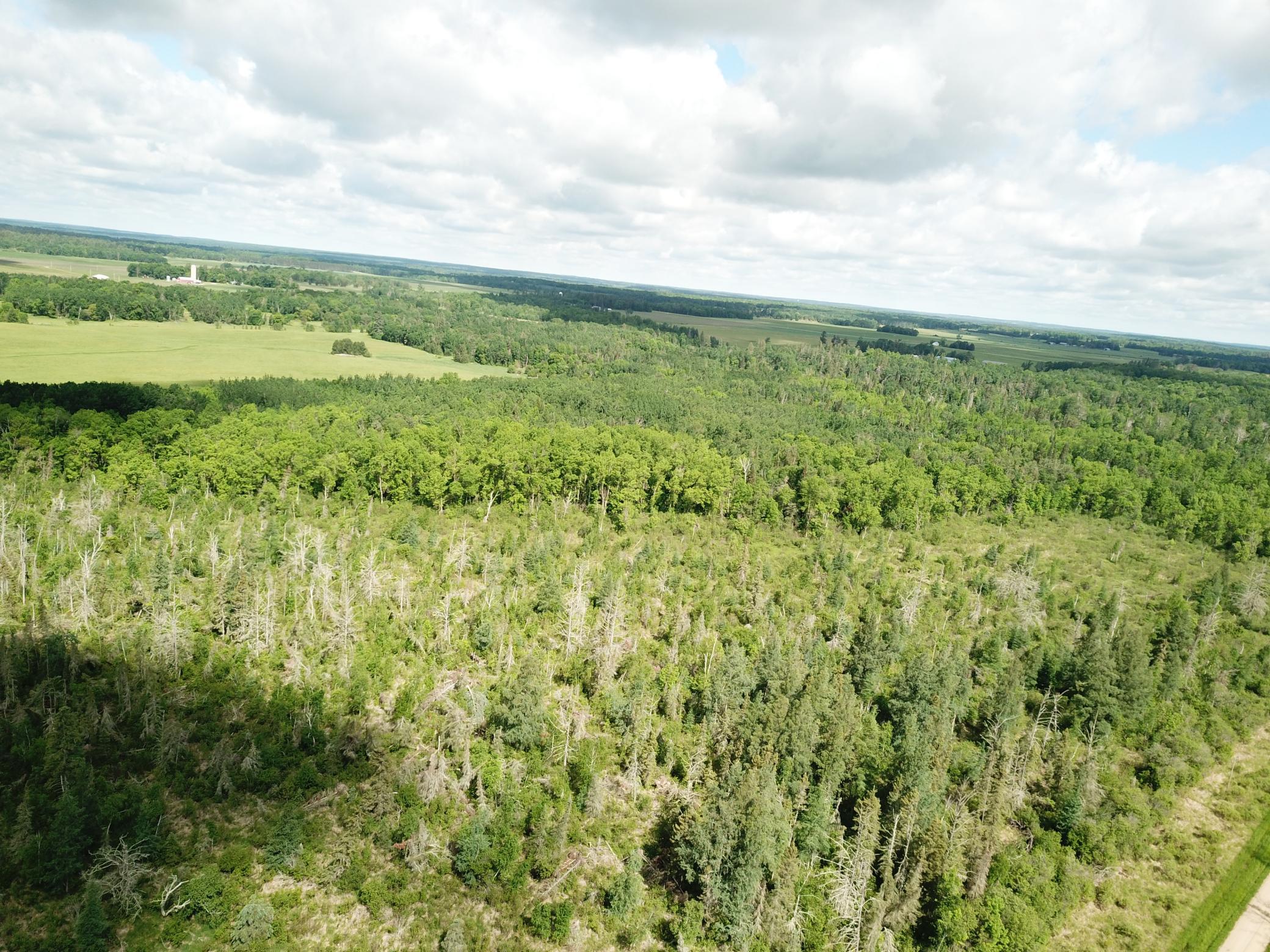 Tbd1 Mud Lake Road Property Photo 8