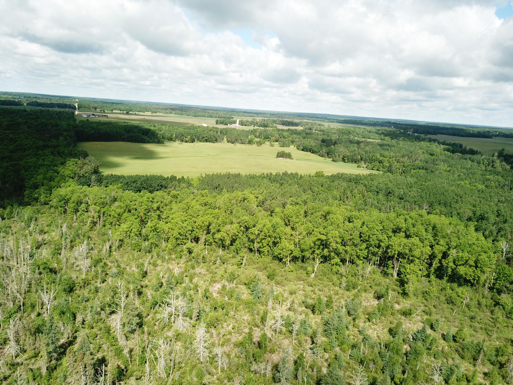 Tbd1 Mud Lake Road Property Photo 9