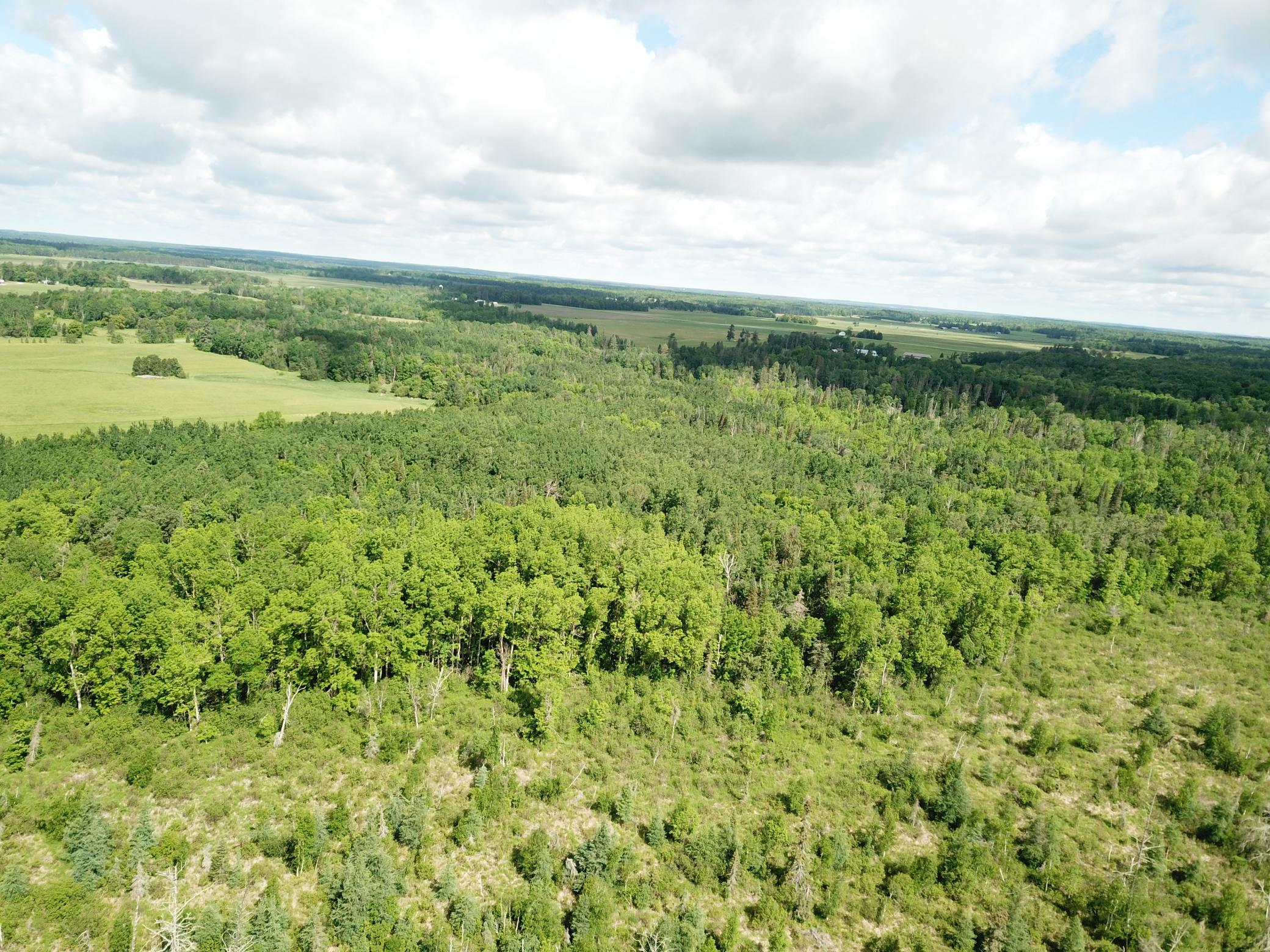 Tbd1 Mud Lake Road Property Photo 10
