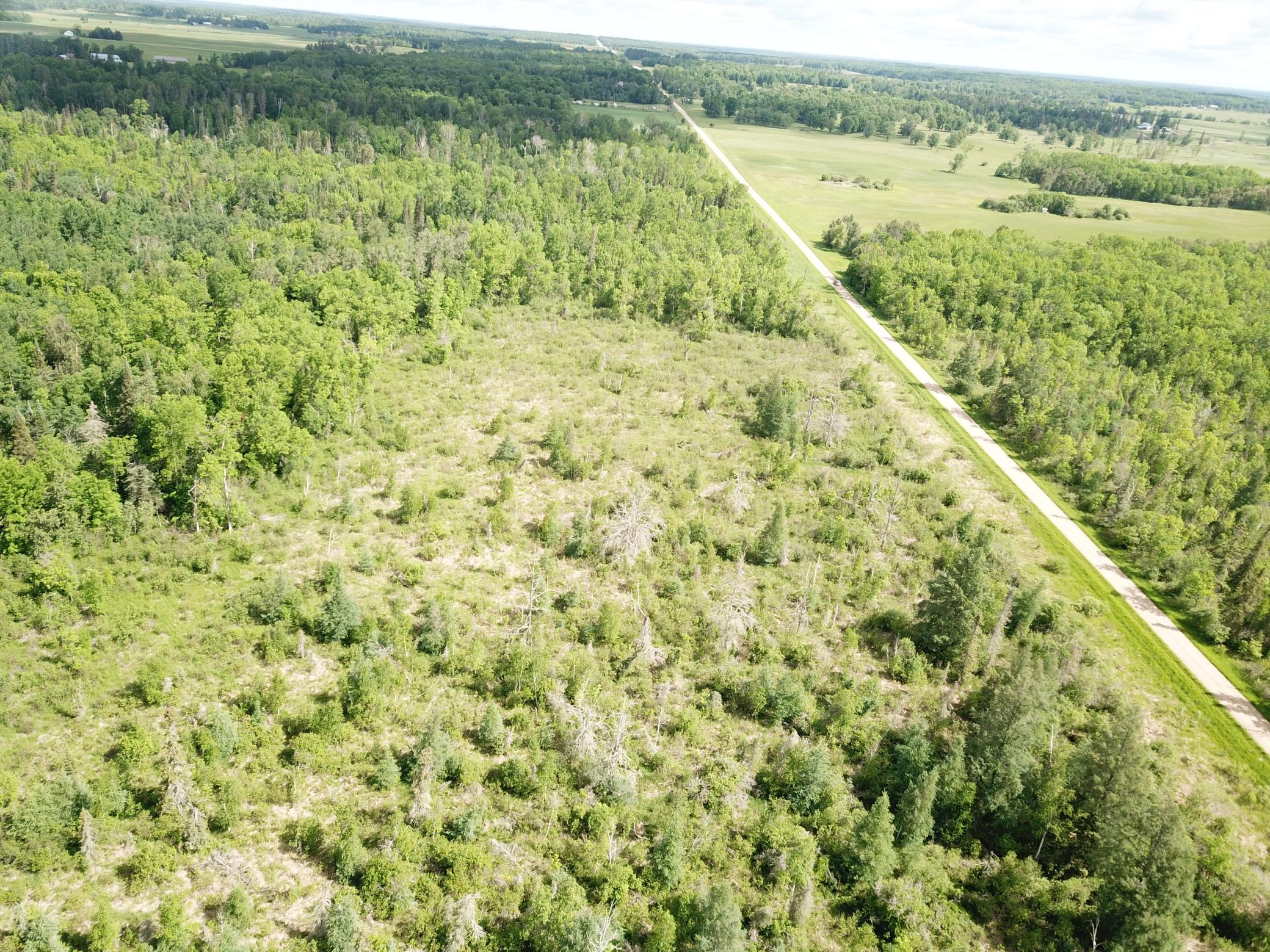 Tbd1 Mud Lake Road Property Photo 12